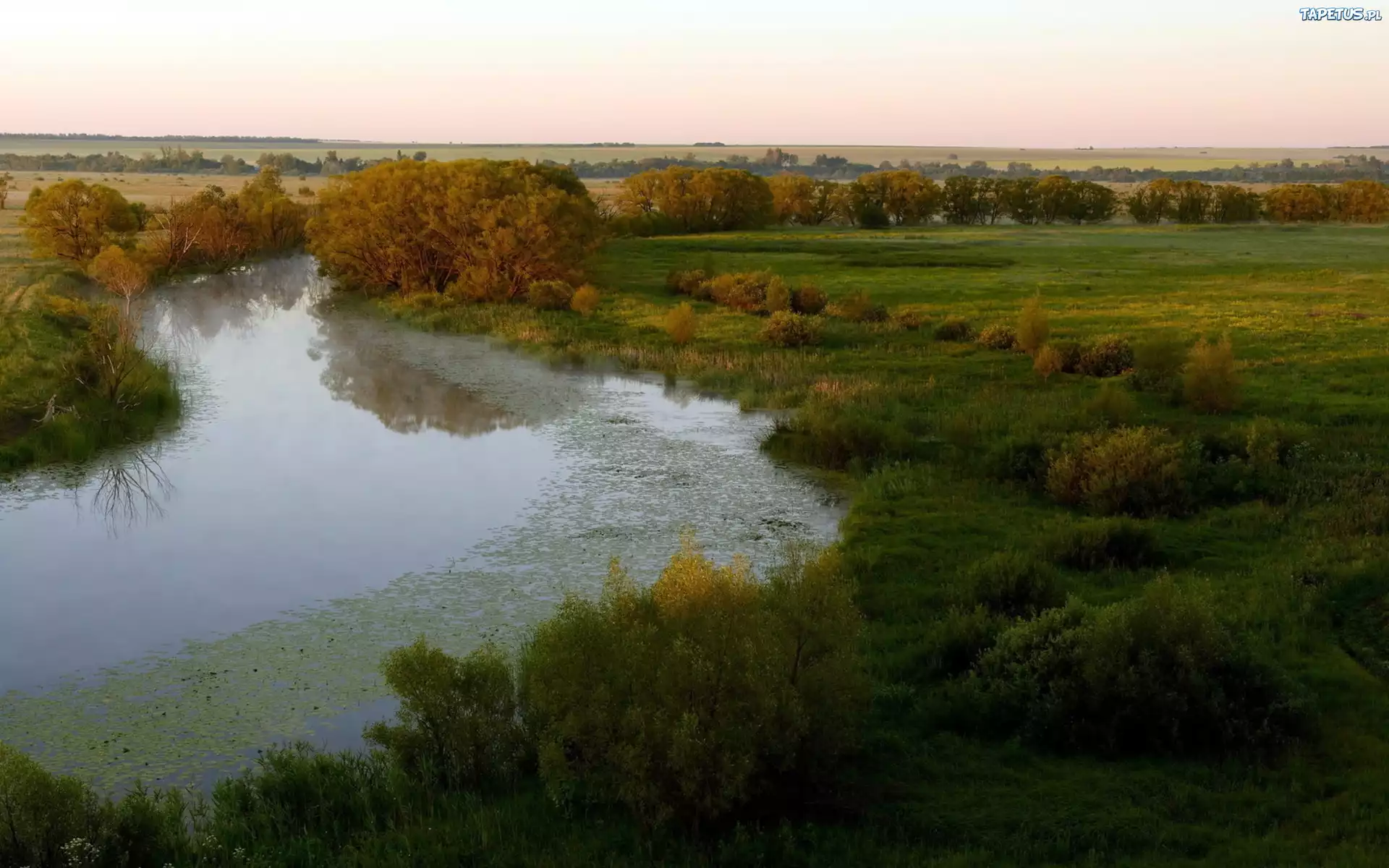 Rzeka, Łąki, Pola, Drzewa, Panorama, Jesień