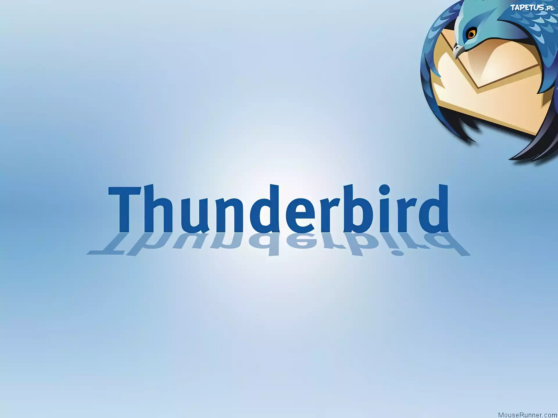 Thunderbird, koperta, grafika, ptak