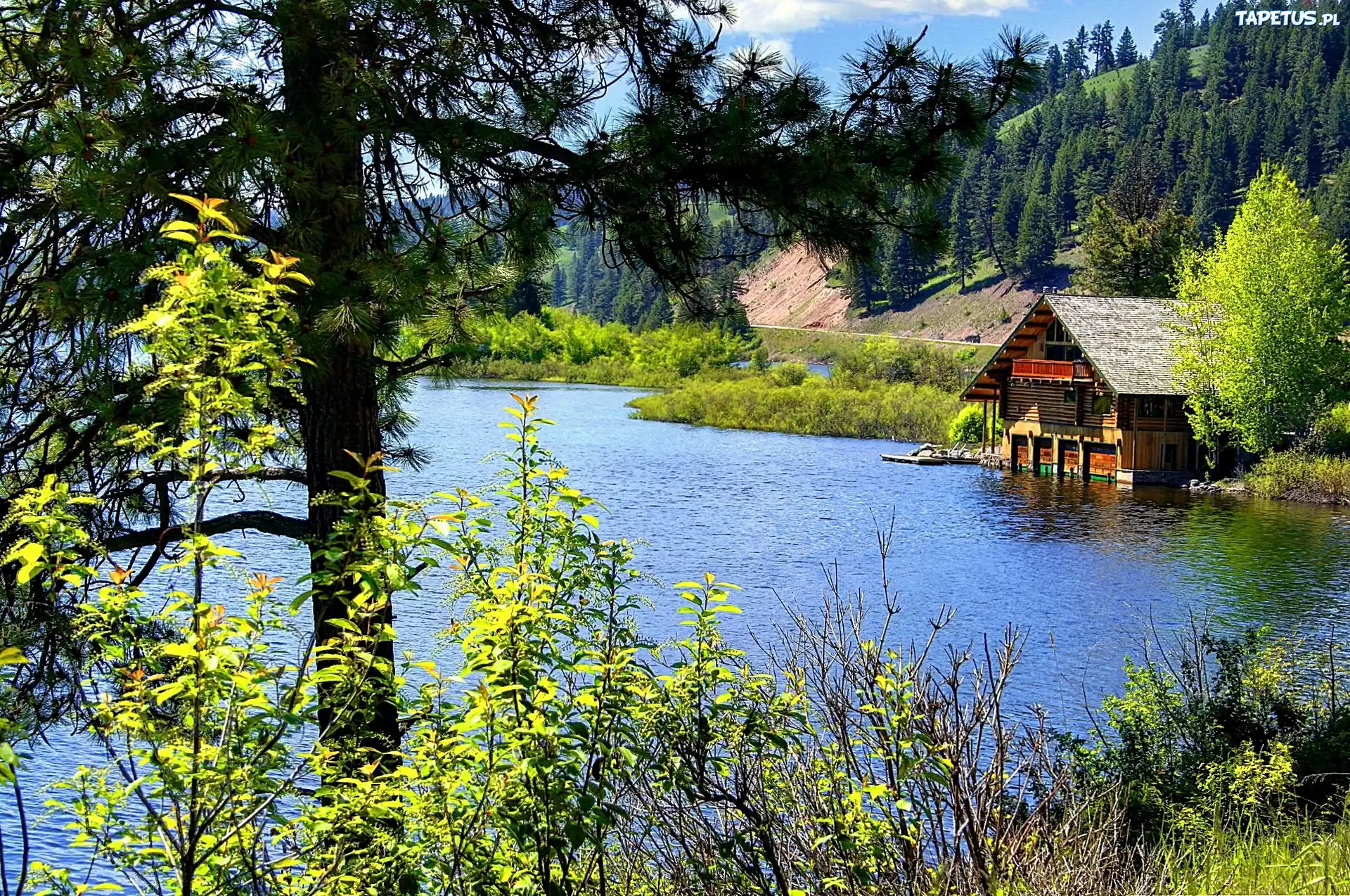 Jezioro, Las, Dom