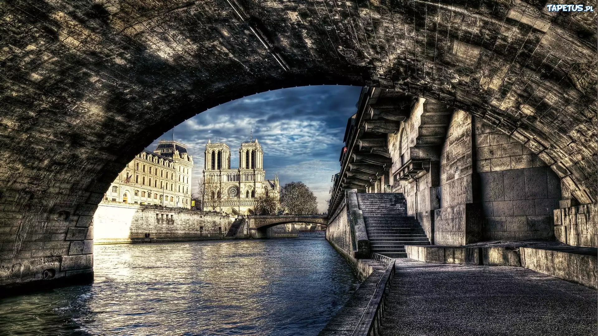 Katedra, Notre Dame, Paryż, Francja