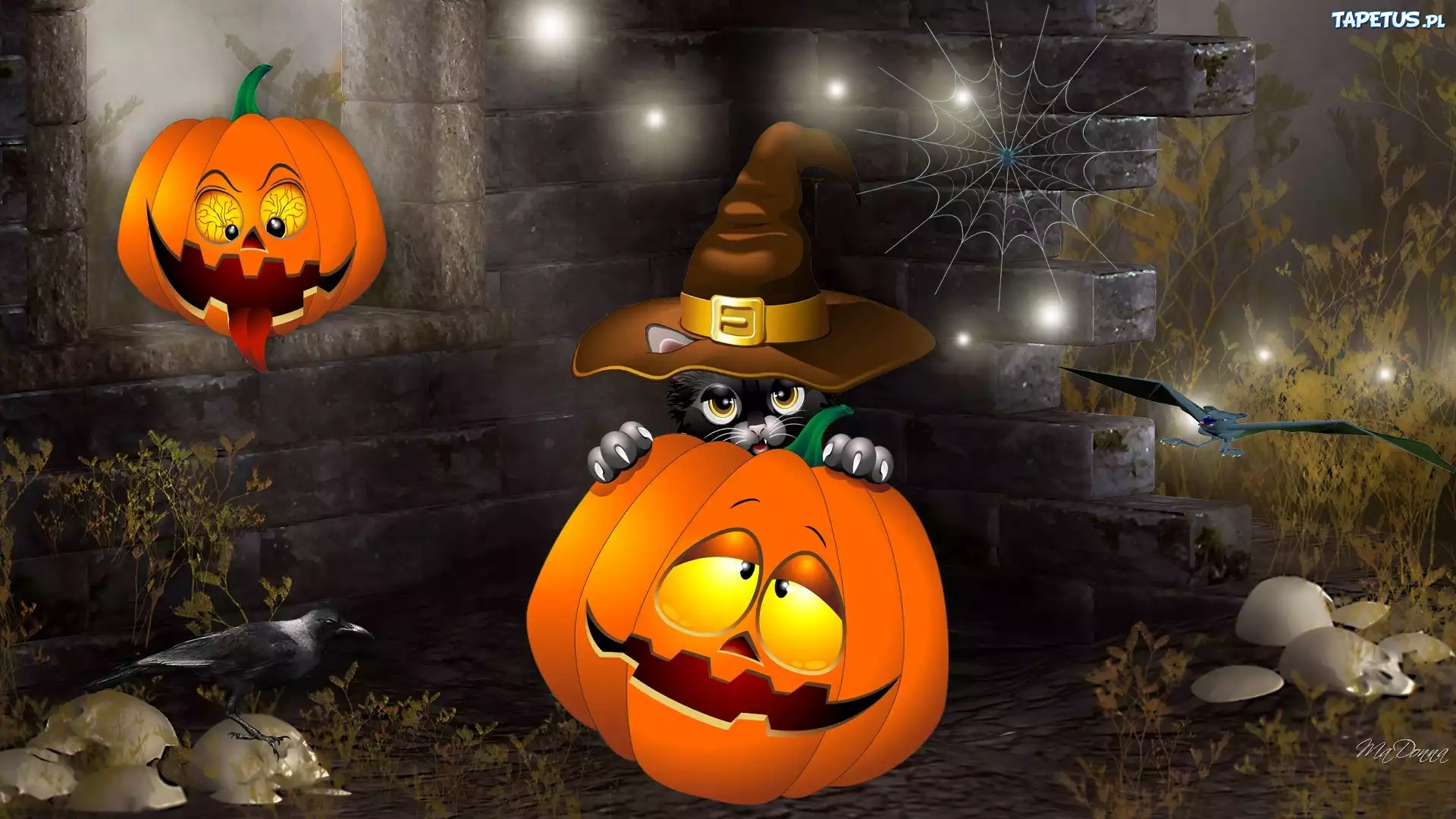 Dynie, Kot, Halloween