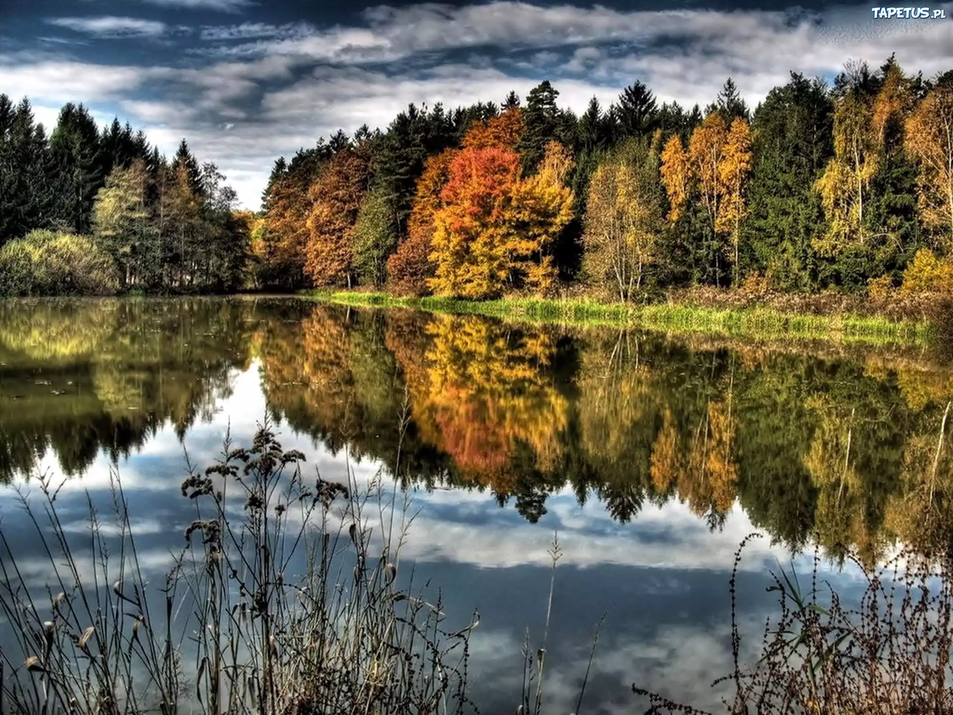 Jezioro, Las, Odbicie