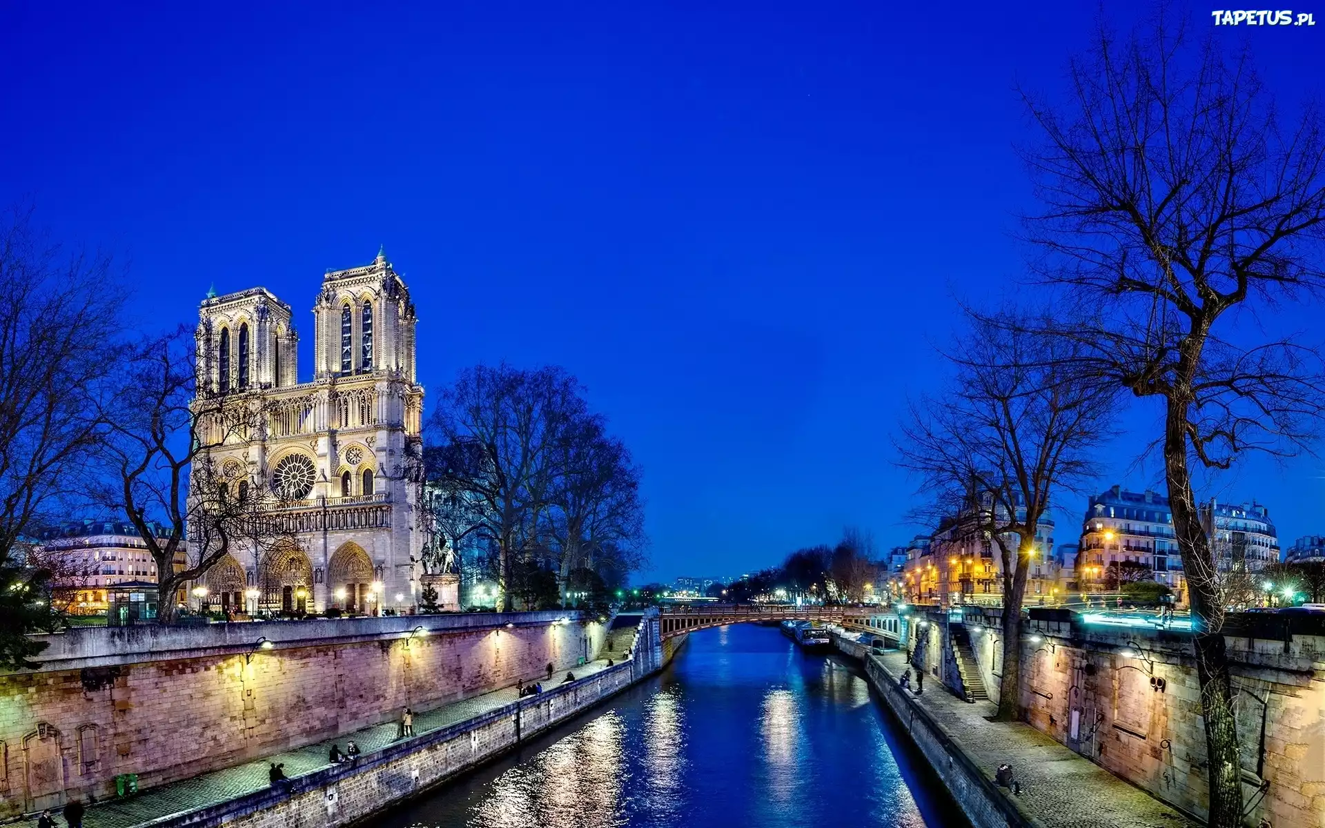 Katedra, Notre Dame, Paryż, Francja