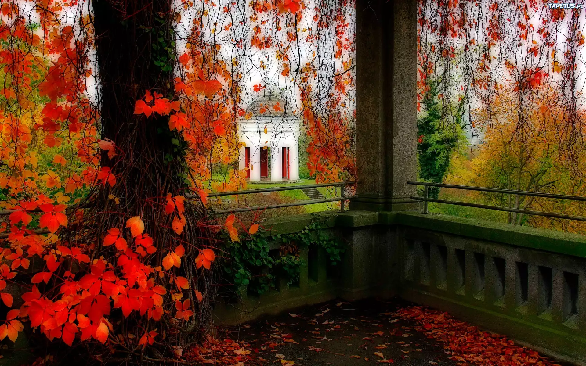 Park, Altana, Drzewa, Liście, Jesień