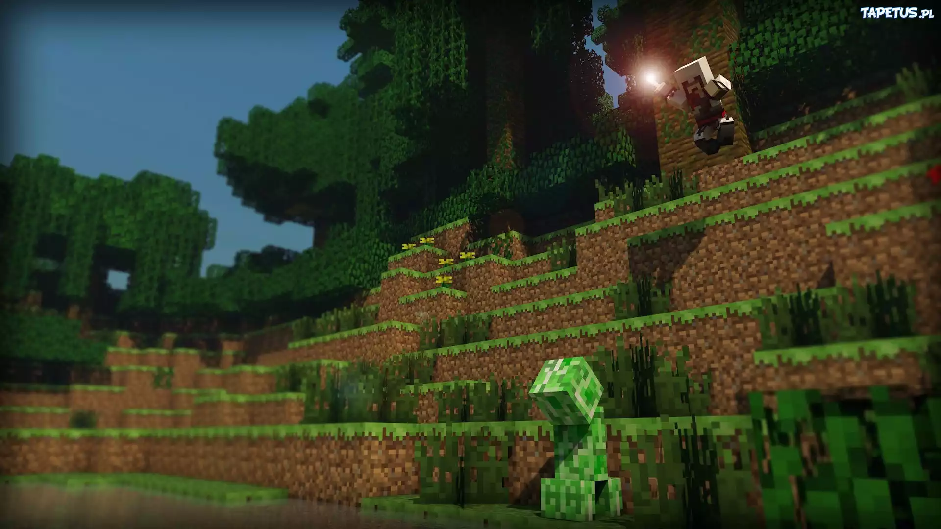 Minecraft, Kliper