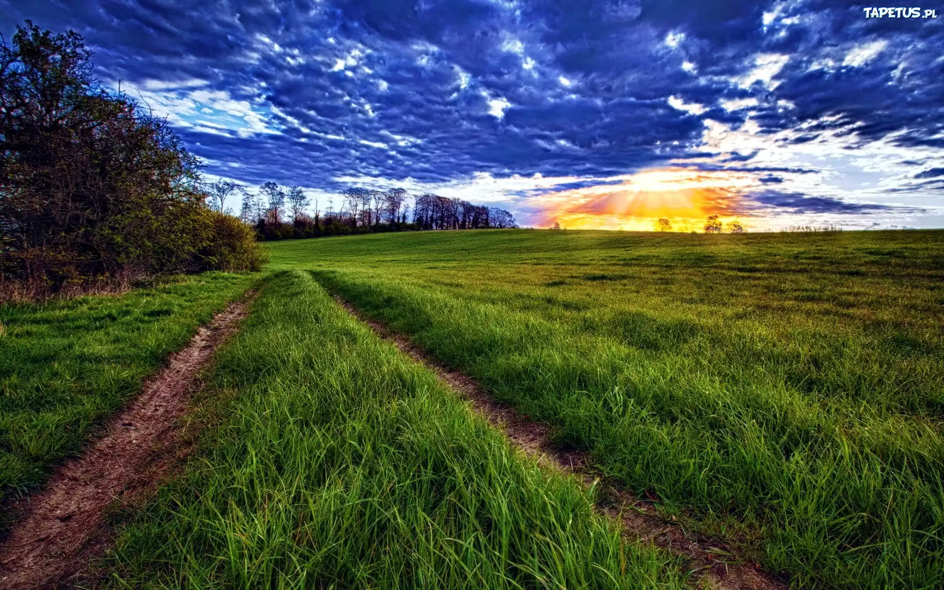 Łąka, Chmury, Zachód Słońca