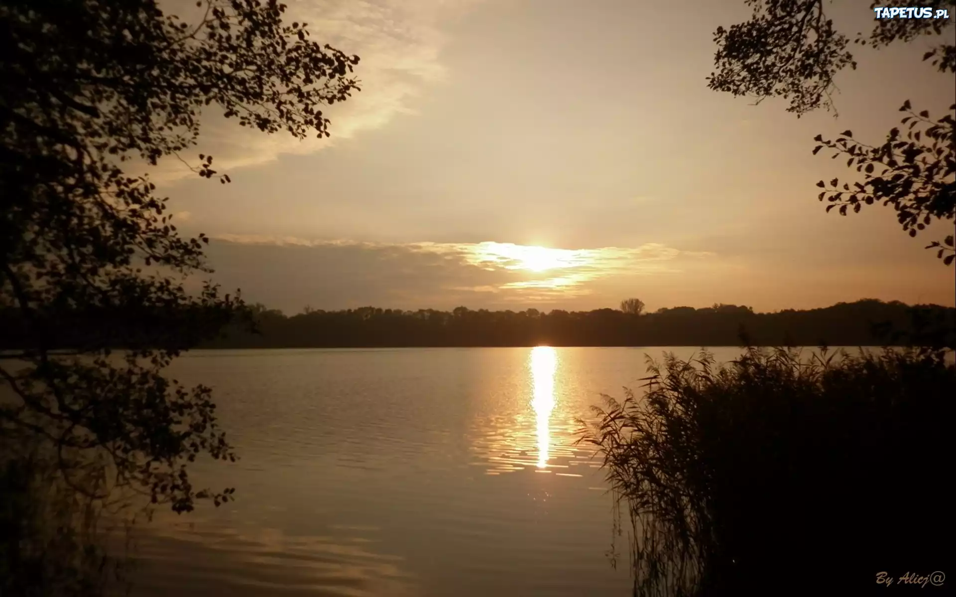 Jezioro, Zachód, Słońca, Szuwary