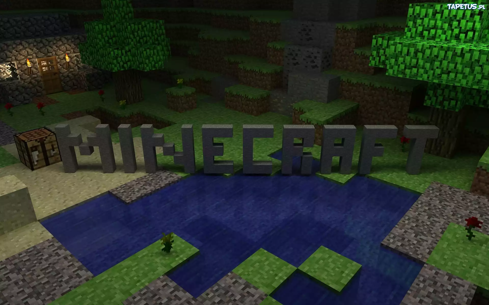 Minecraft