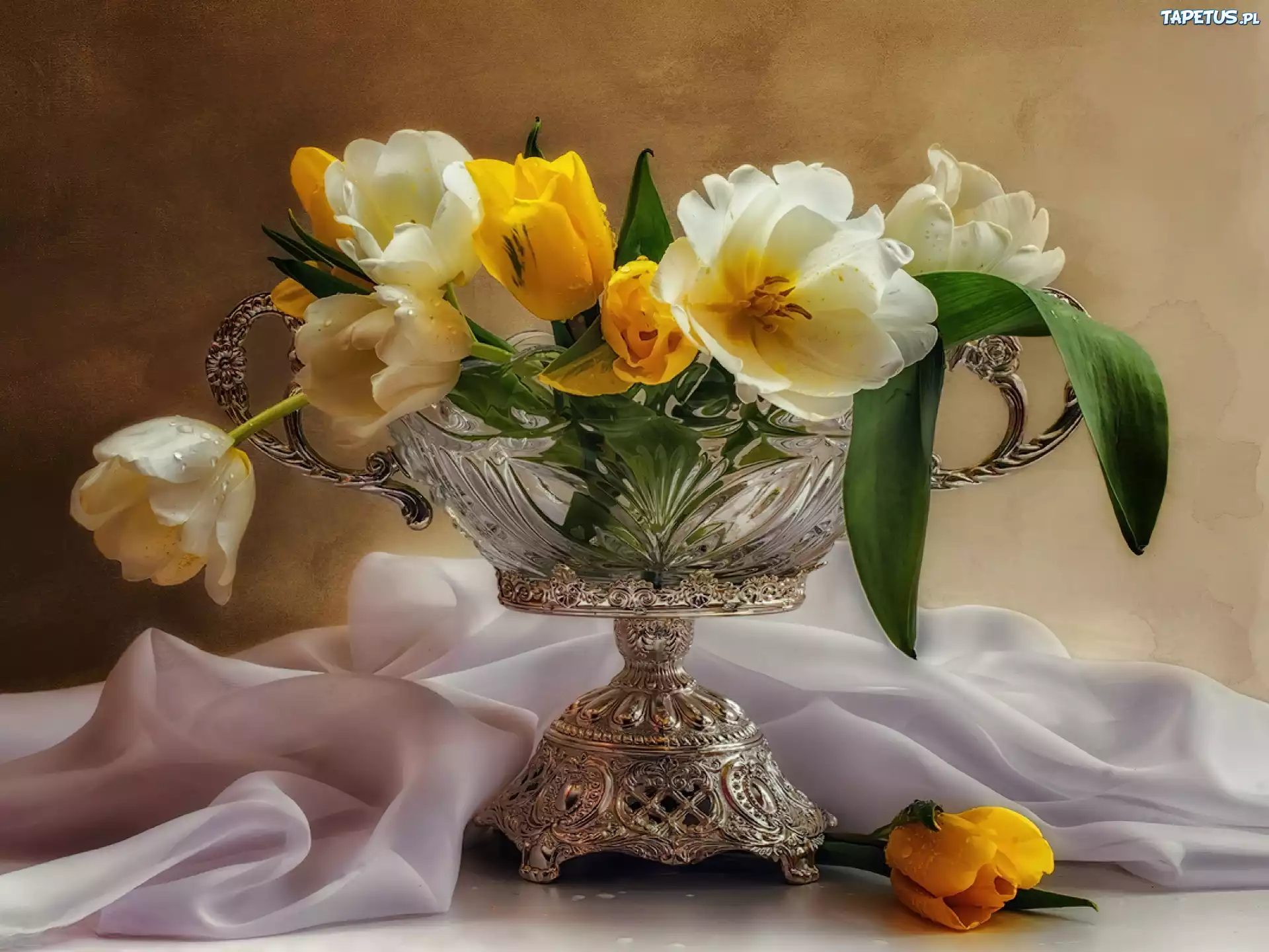 Розы и тюльпаны в одной вазе. Фотонатюрморты Светланы Лебедевой. Натюрморты Светланы Лебедевой.