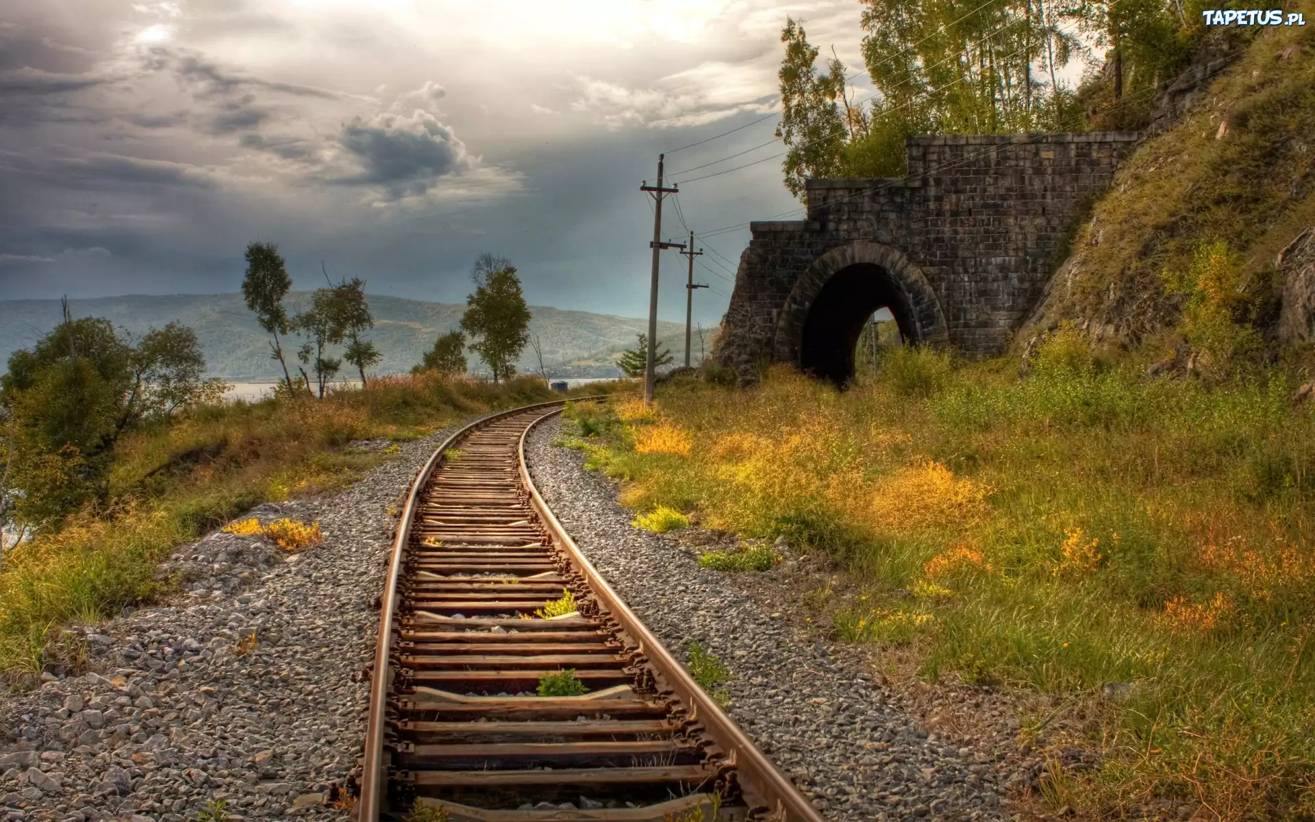 Tor, Kolejowy, Tunel, Rośliny