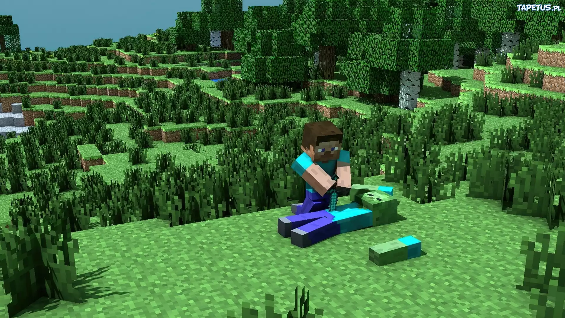 Minecraft, Zombie