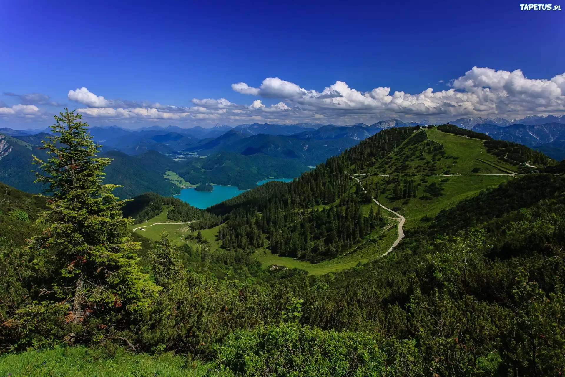 Alpy Bawarskie, Niemcy, Jezioro, Las, Panorama