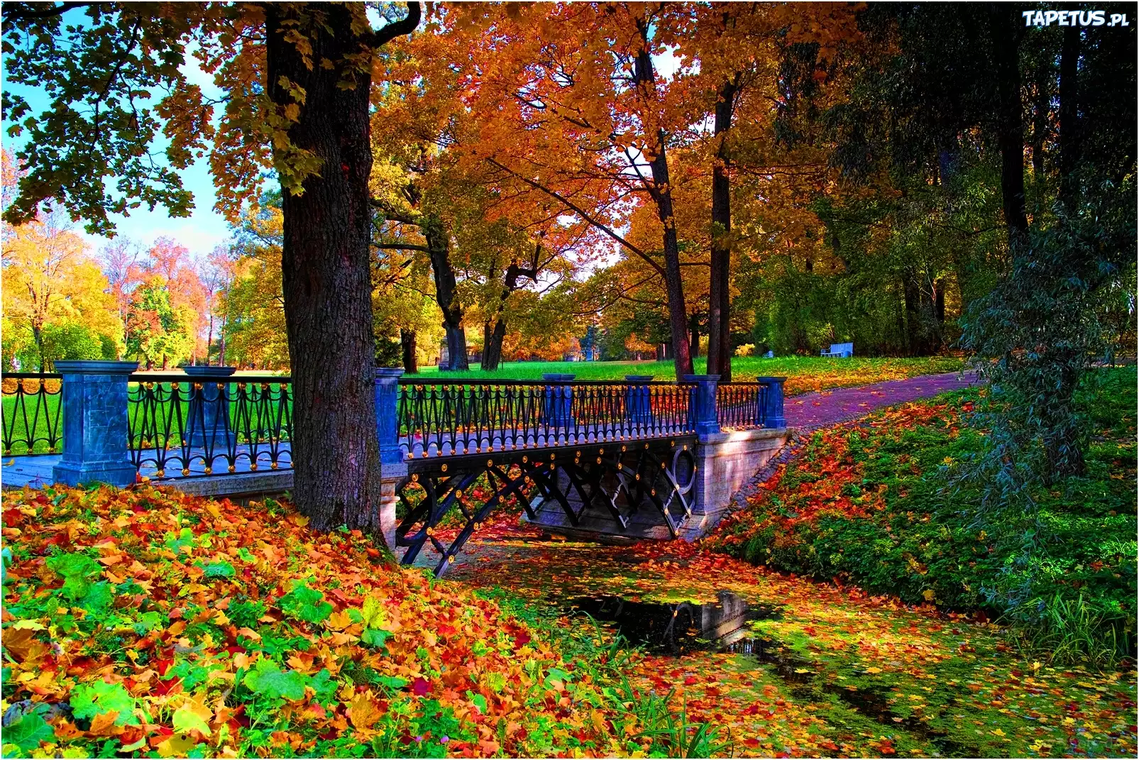 Park, Most, Jesień