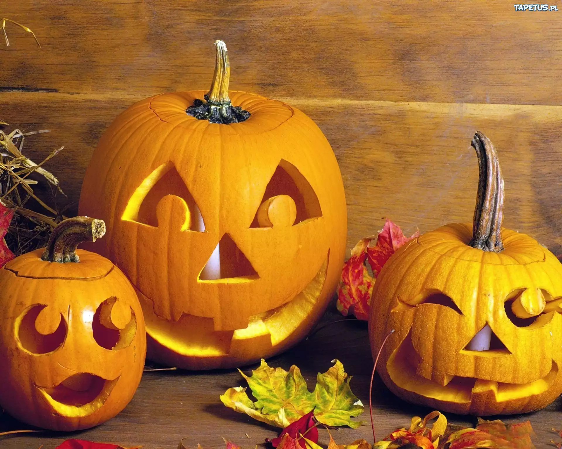 Dynie, Liście, Halloween
