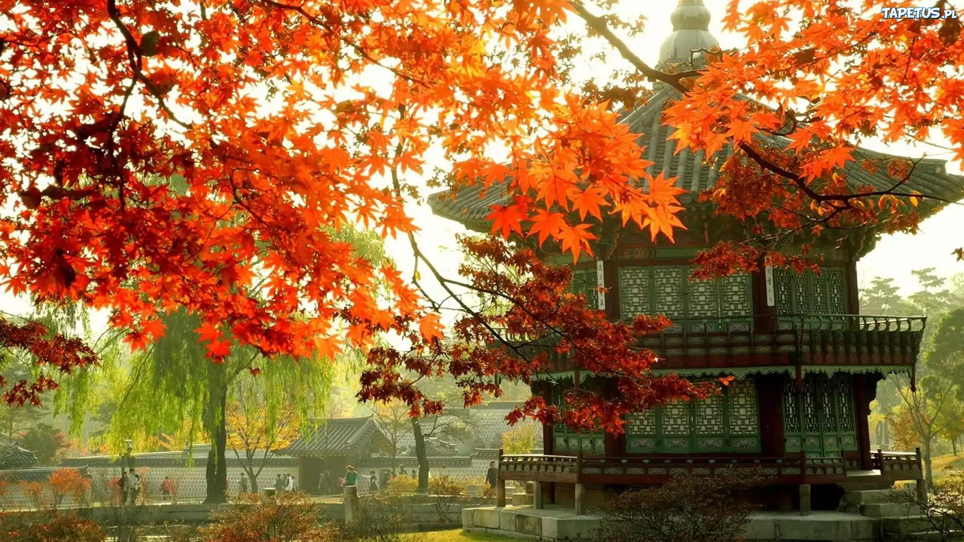 Pałacyk, Gałęzie, Jesień, Seul, Korea