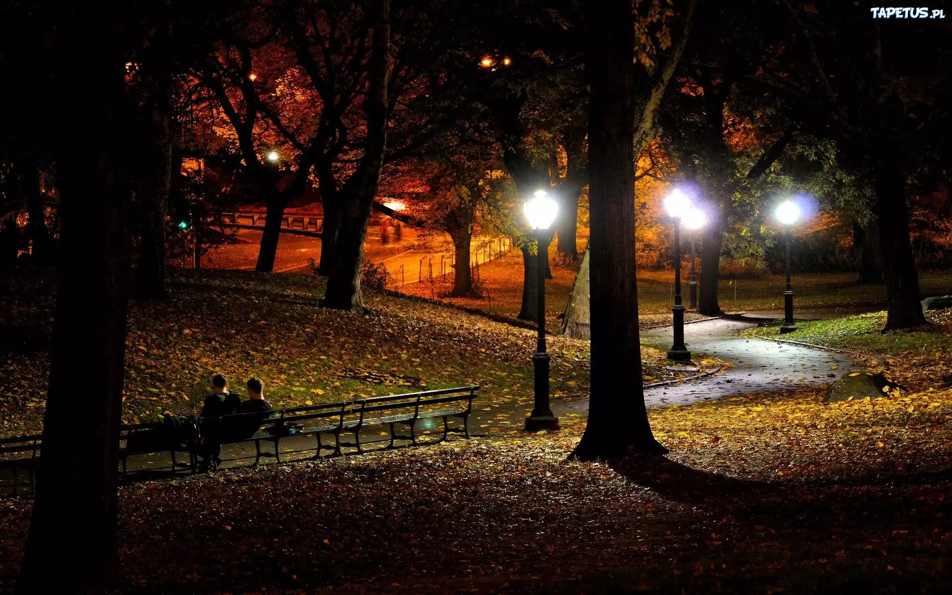 Jesień, Park, Drzewa, Ławka, Latarnie, Noc