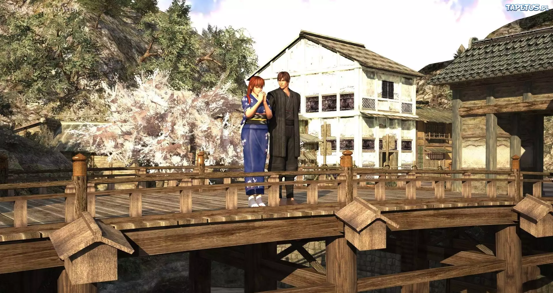 Dead Or Alive 5, Kasumi, Ryu Hayabusa