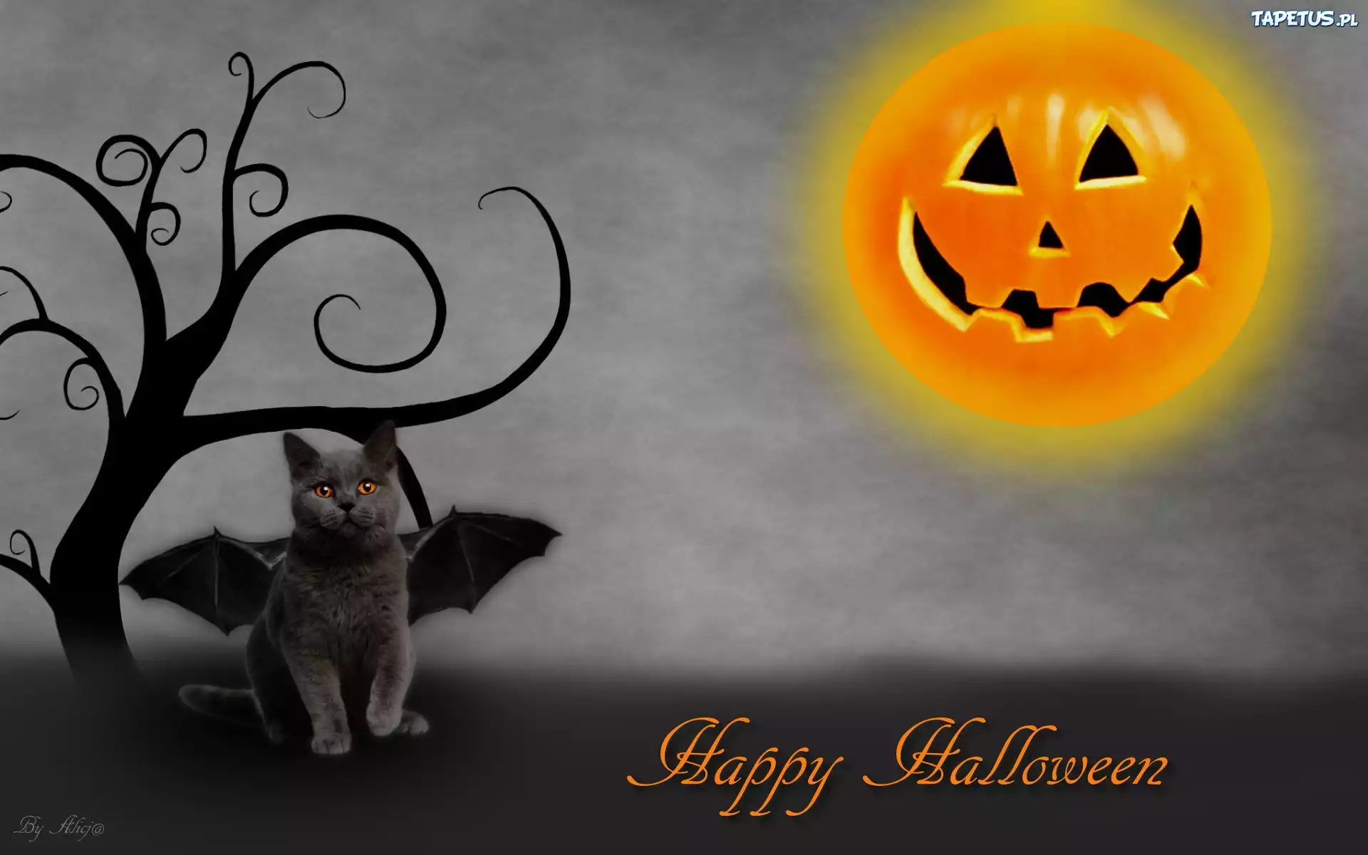 Halloween, Kot, Dynia, Drzewo