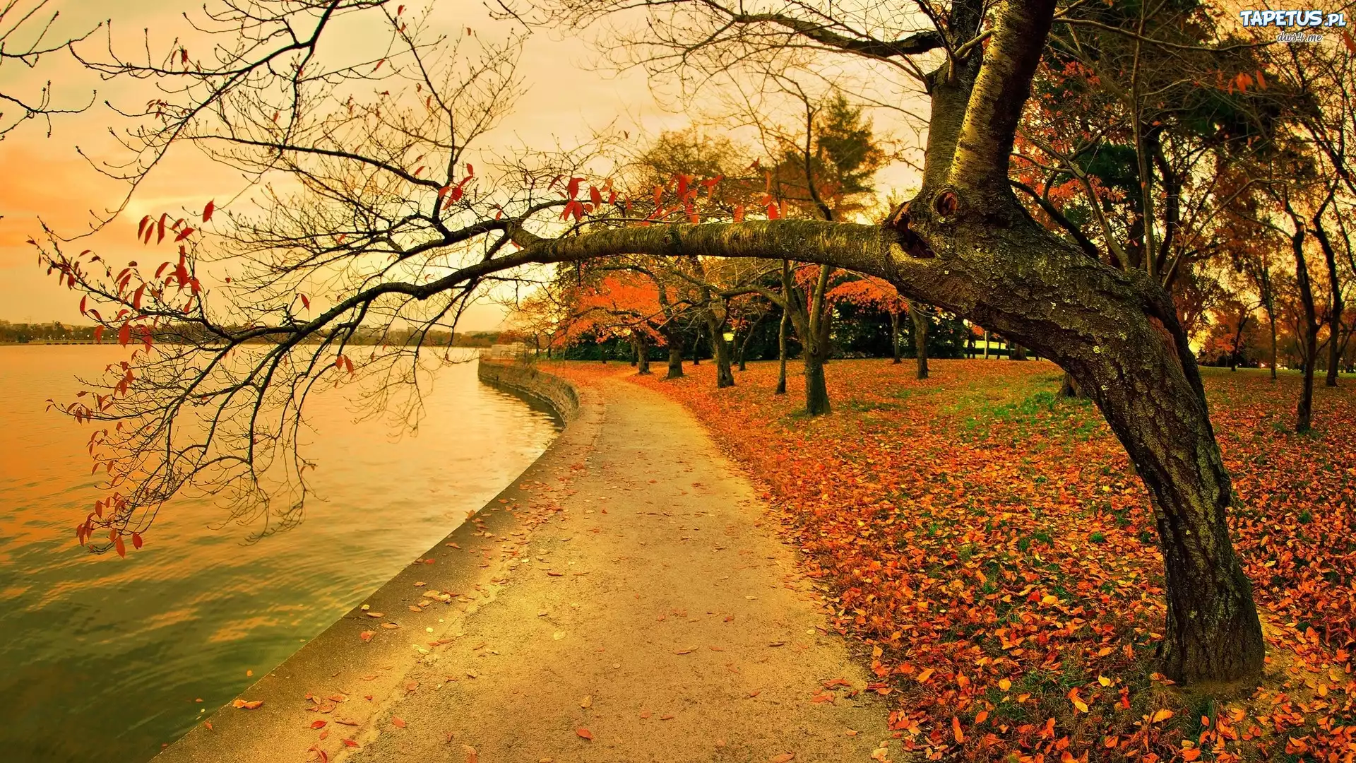 Rzeka, Park, Jesień
