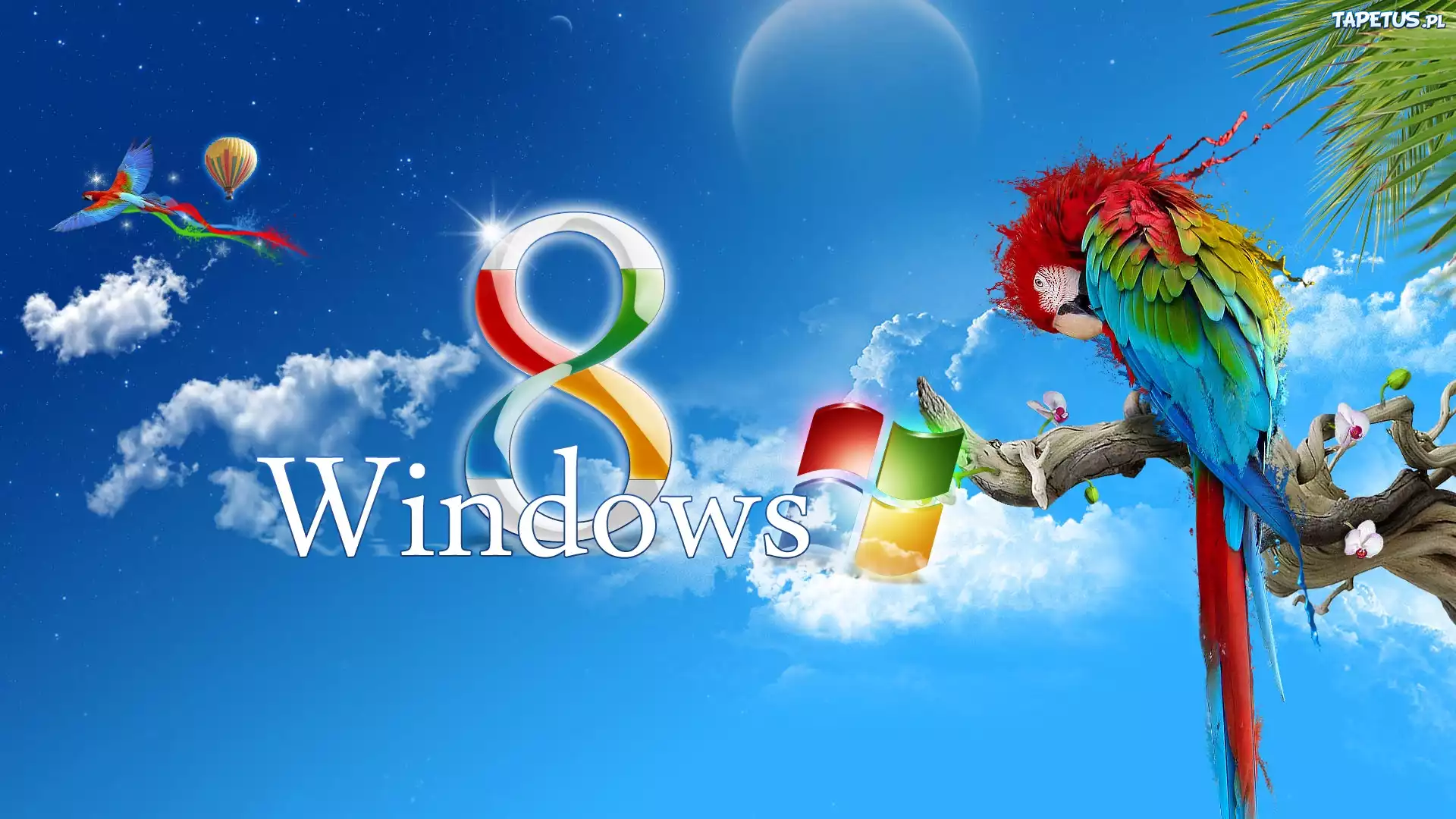 Windows 8 Wallpaper бесплатно