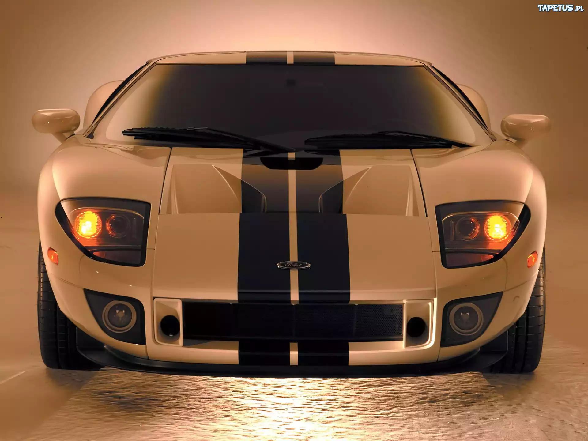 Biały, Ford GT