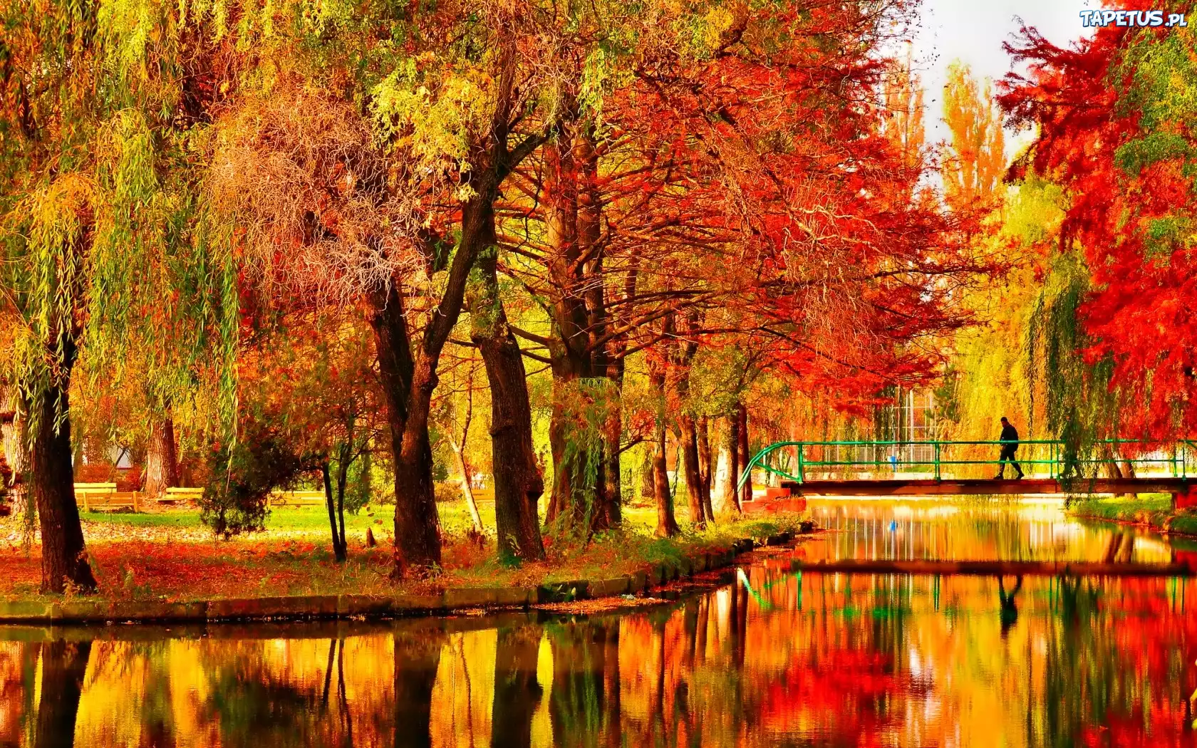 Jesień, Park, Staw, Mostek