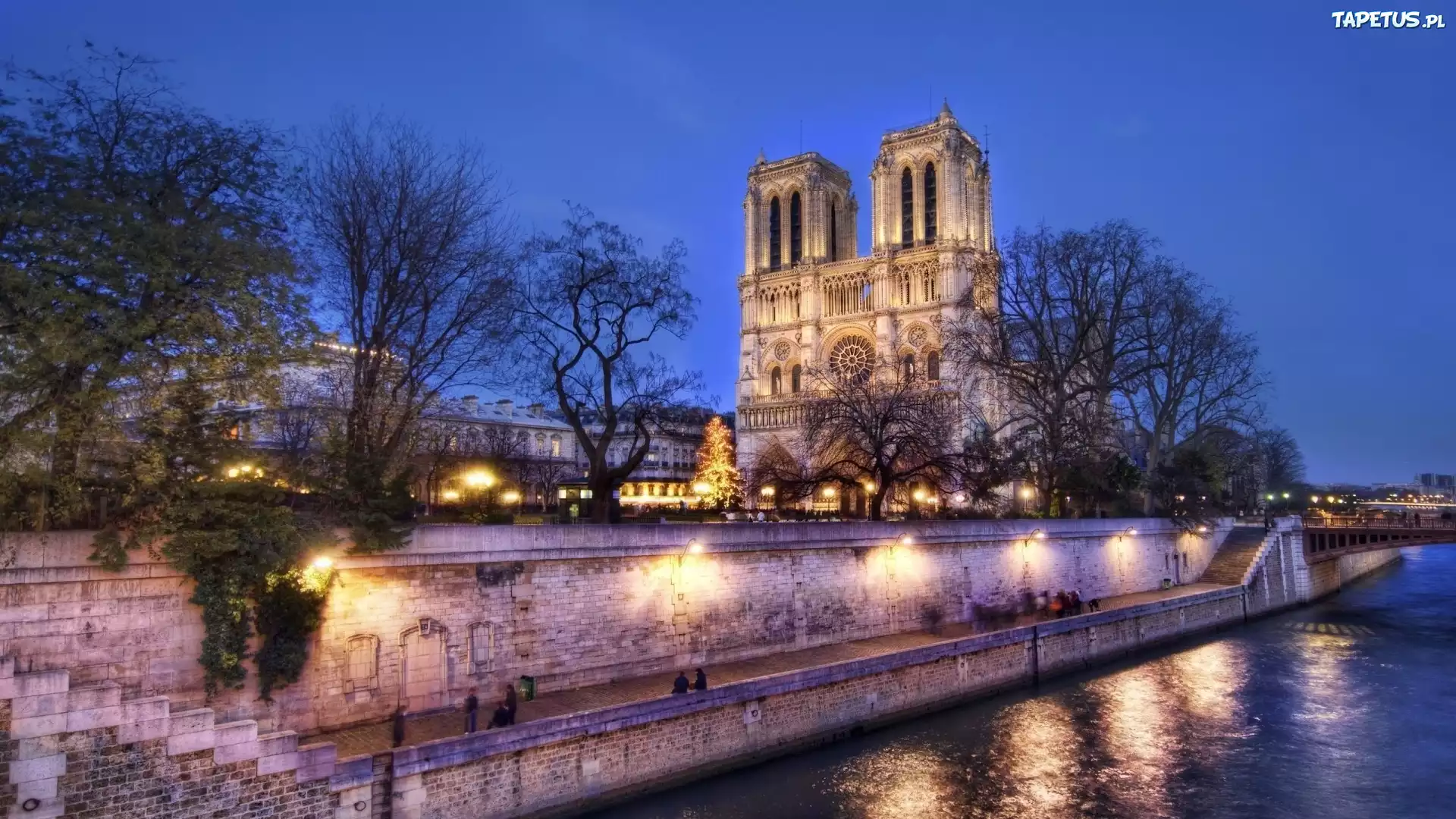 Francja, Katedra, Notre Dame, Paryż