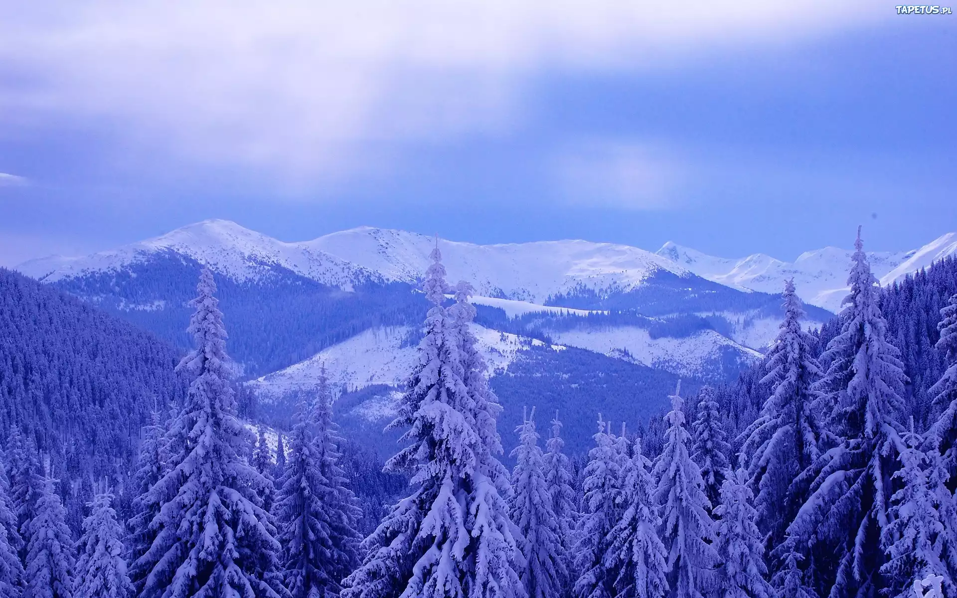 Góry, Lasy, Zima