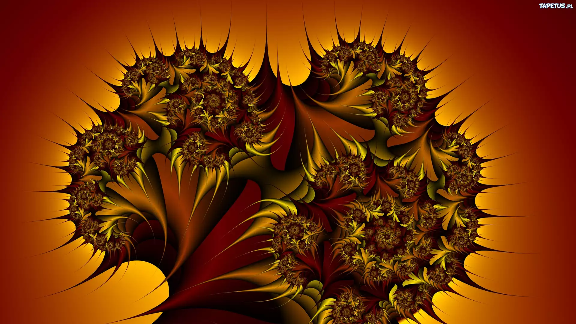 Pomarańczowa, Abstrakcja, 3D