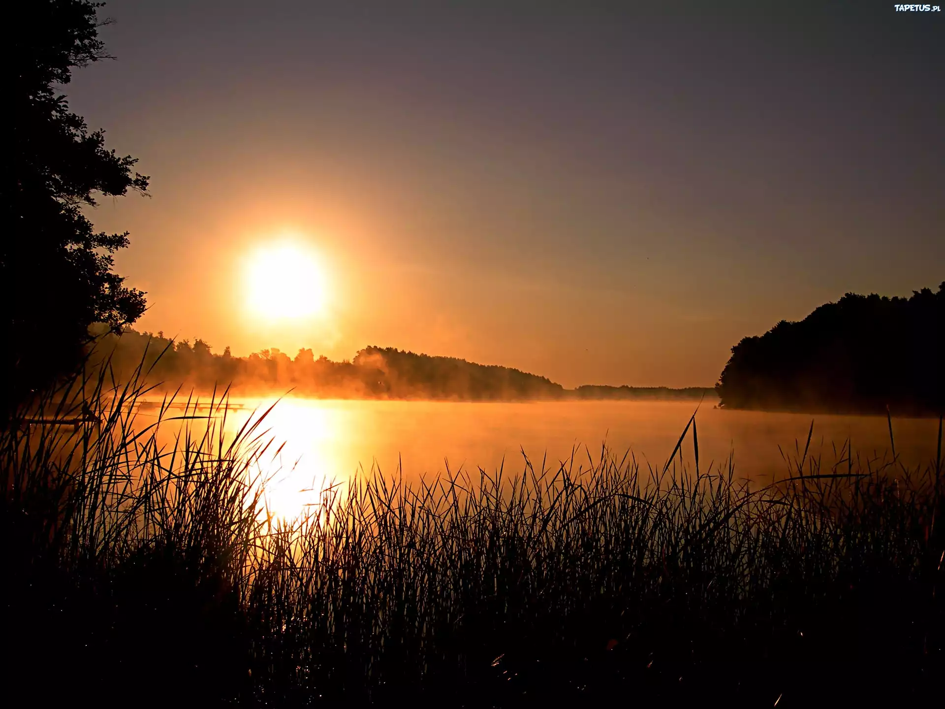 Zachód Słońca, Jezioro, Trawka