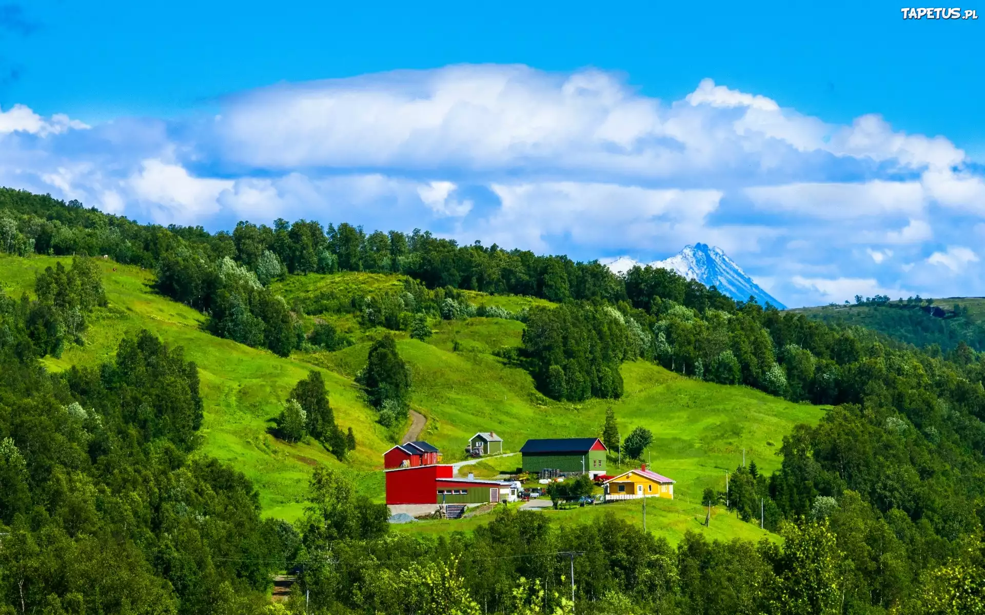 Góry, Lasy, Łąki, Zabudowania, Lato