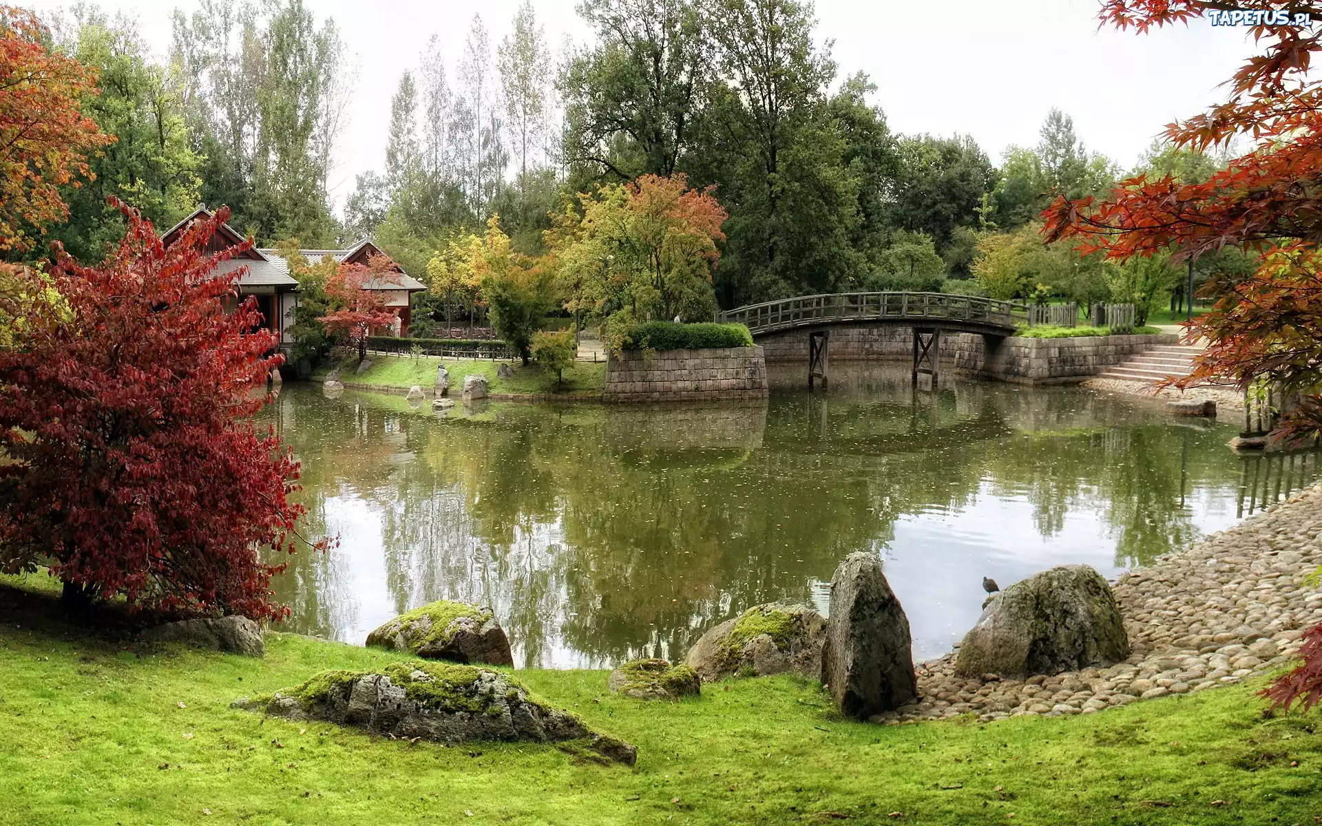 Park, Rzeczka, Mostek, Kolorowe, Drzewa, Jesień