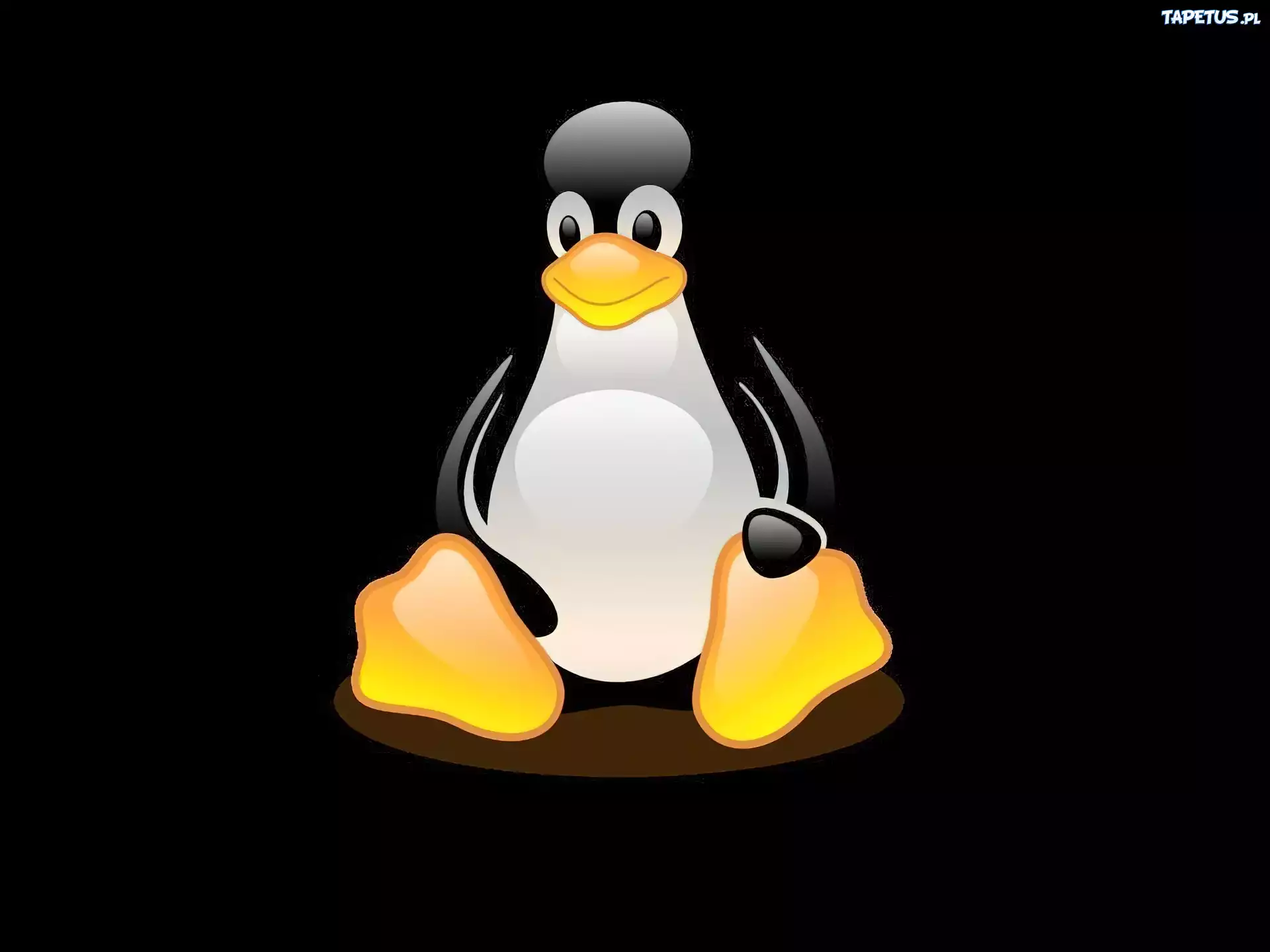 Linux, pingwin, grafika
