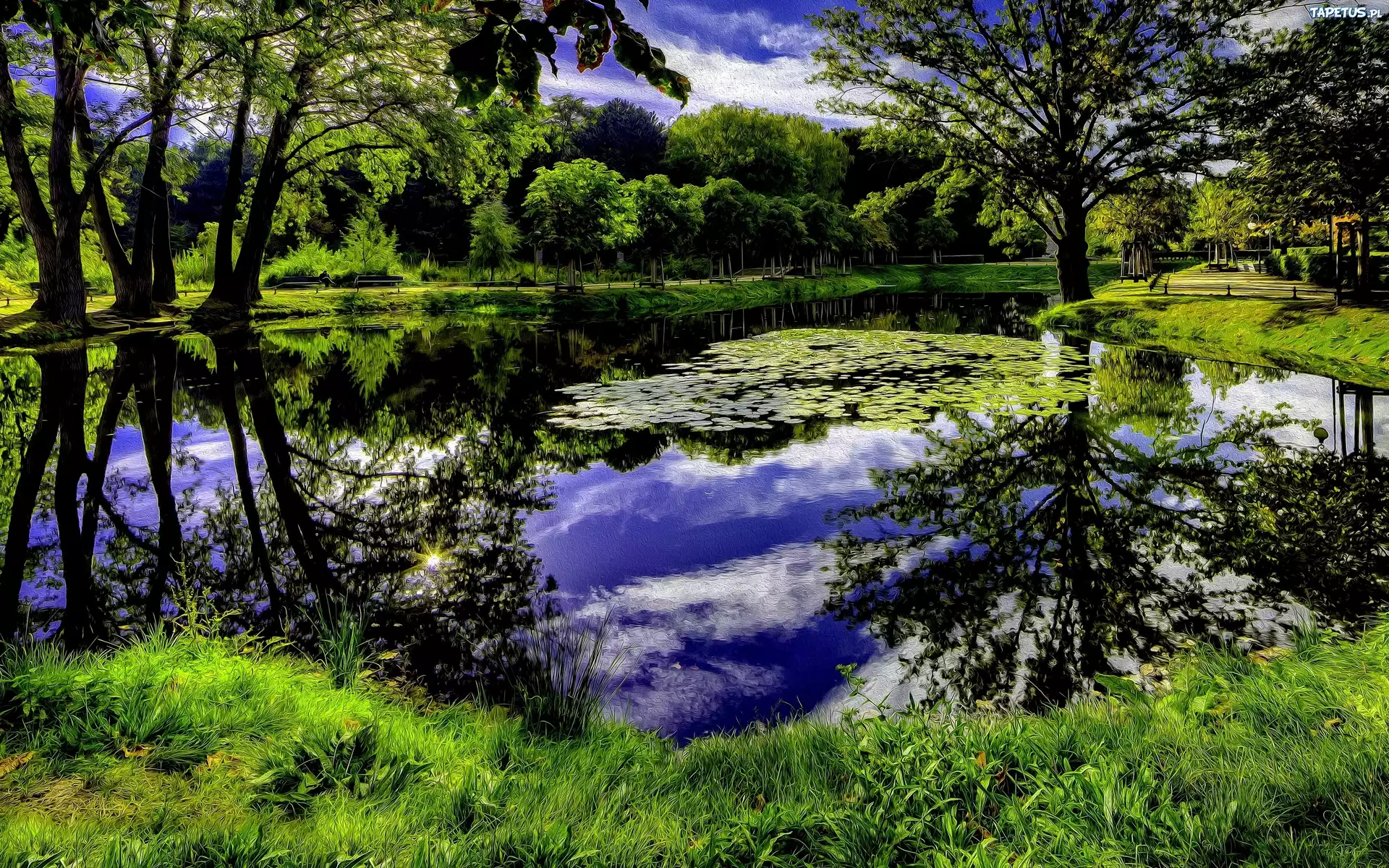 Park, Staw, Zieleń, Art