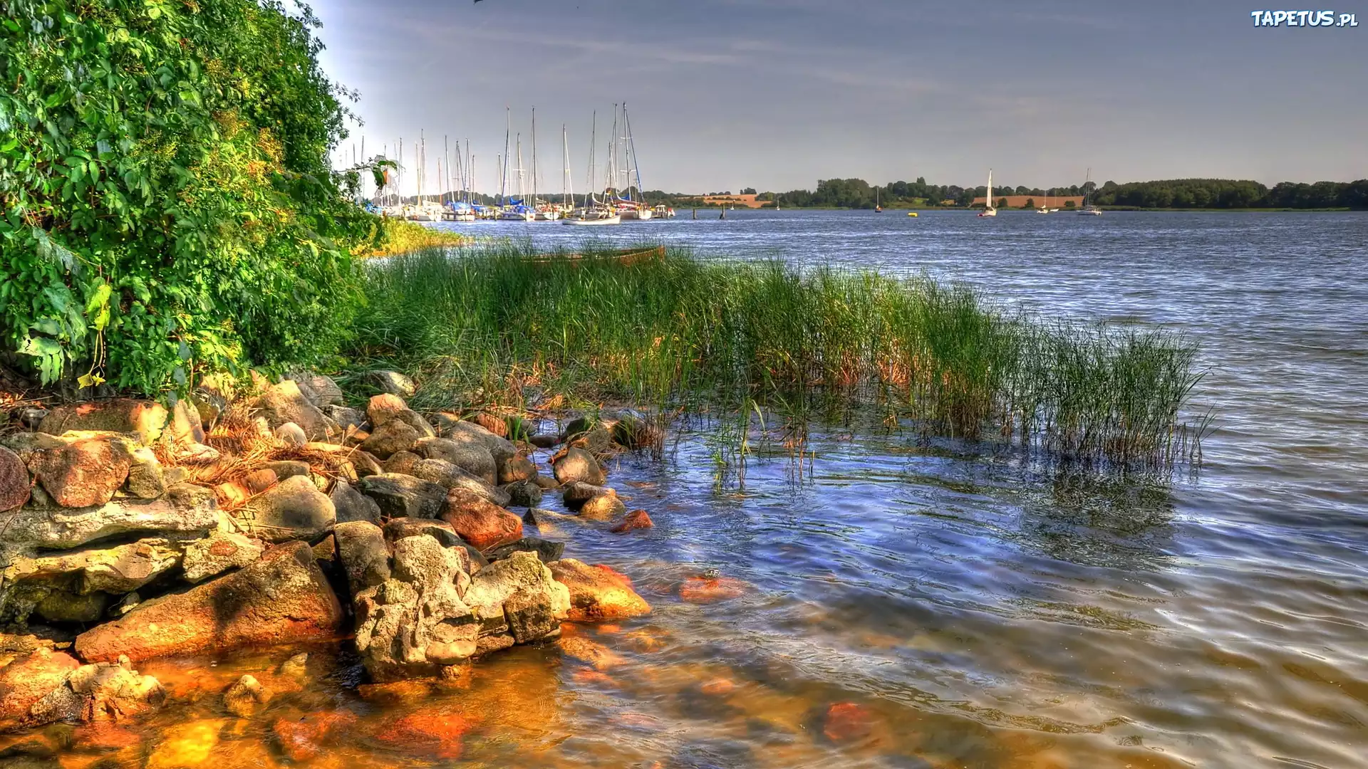 Rzeka, Kamienie, Trawa