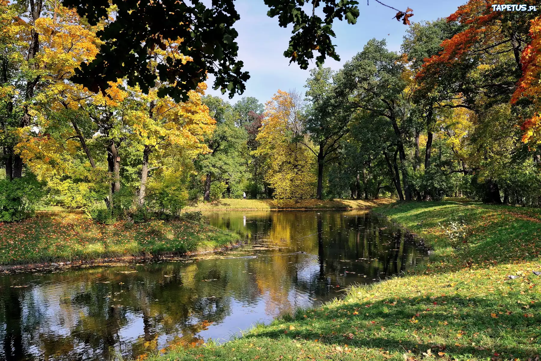 Rzeka, Park, Kolorowe, Drzewa, Liście, Jesień