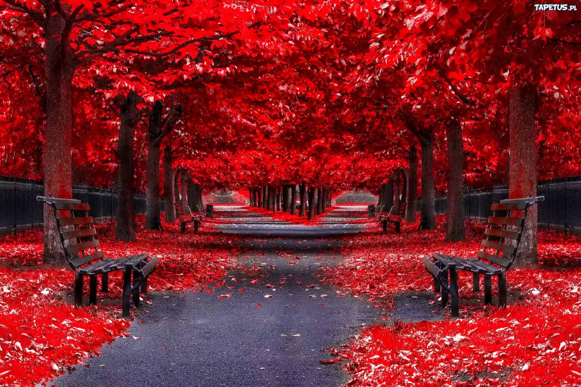 Park, Alejki, Ławki