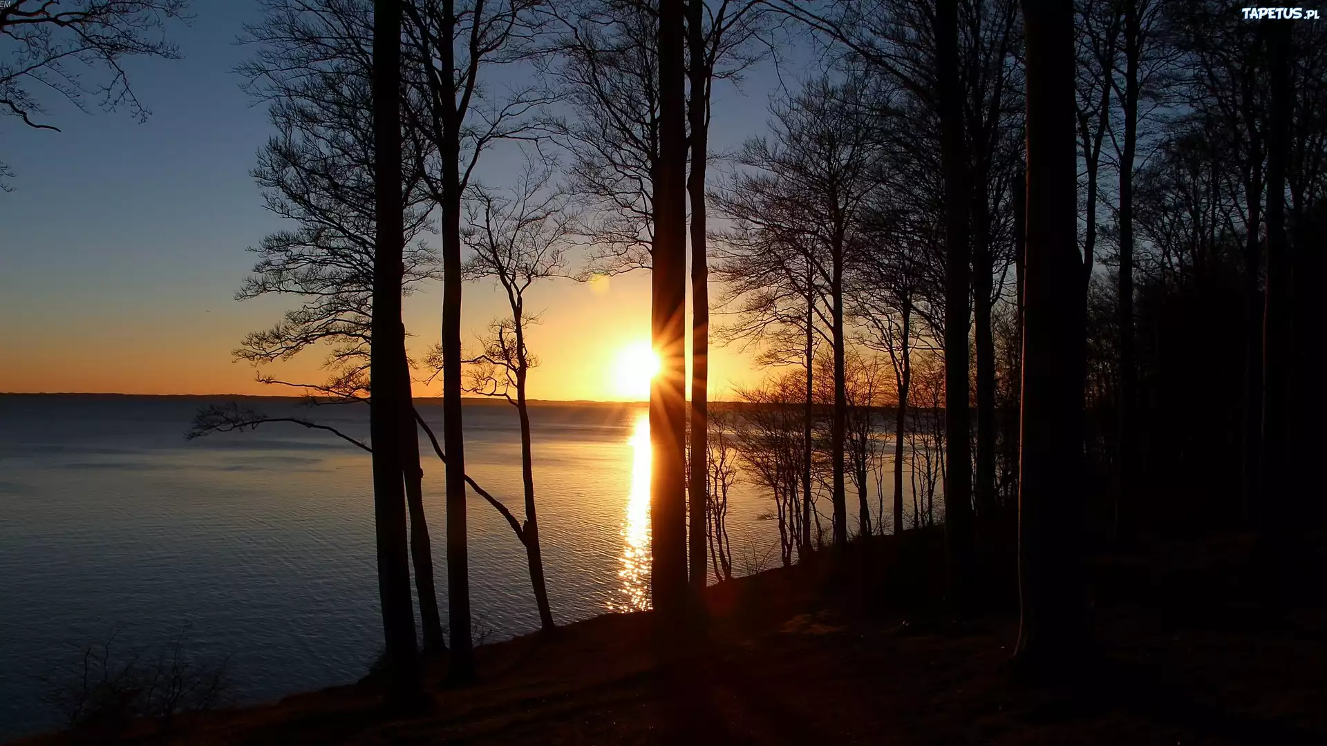 Jezioro, Las, Zachód Słońca