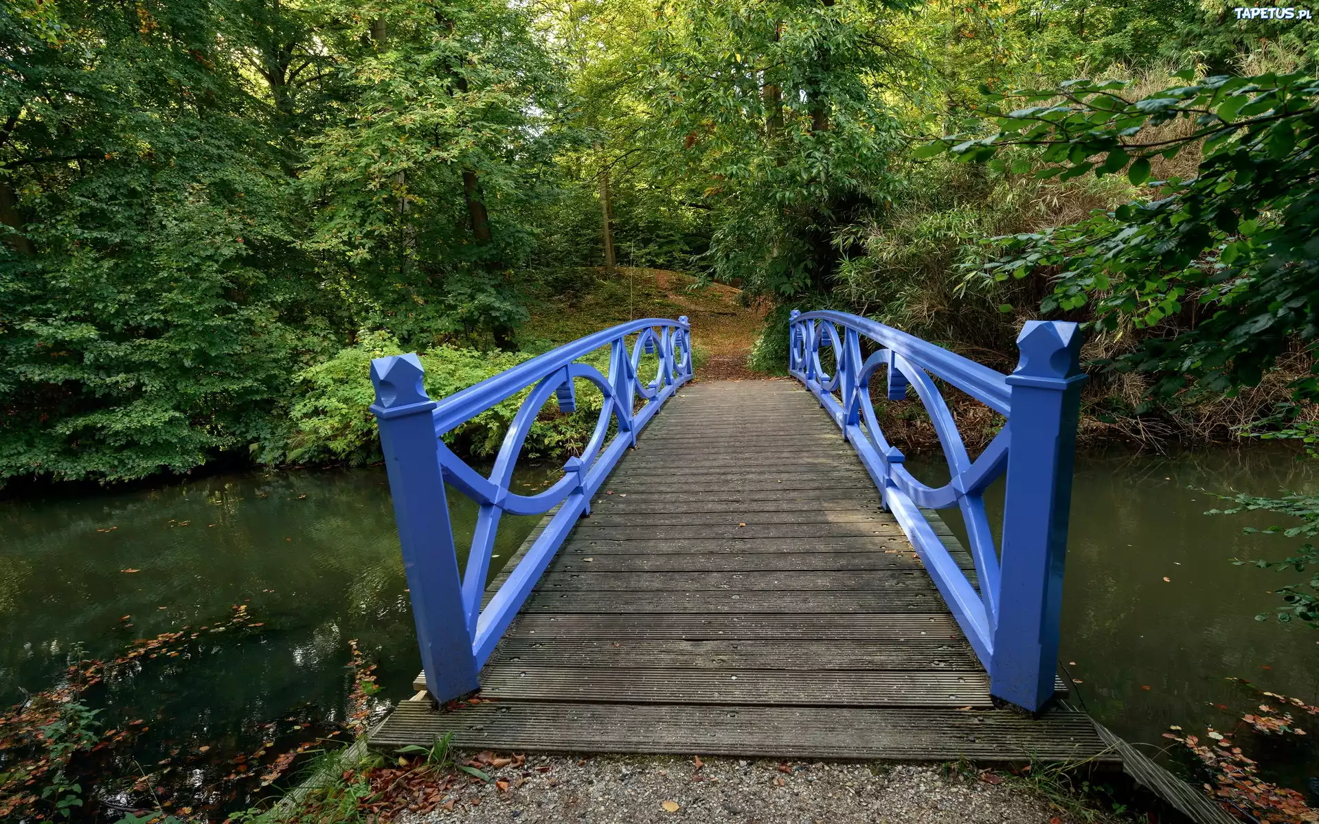Круглый мостик над речкой бесплатно