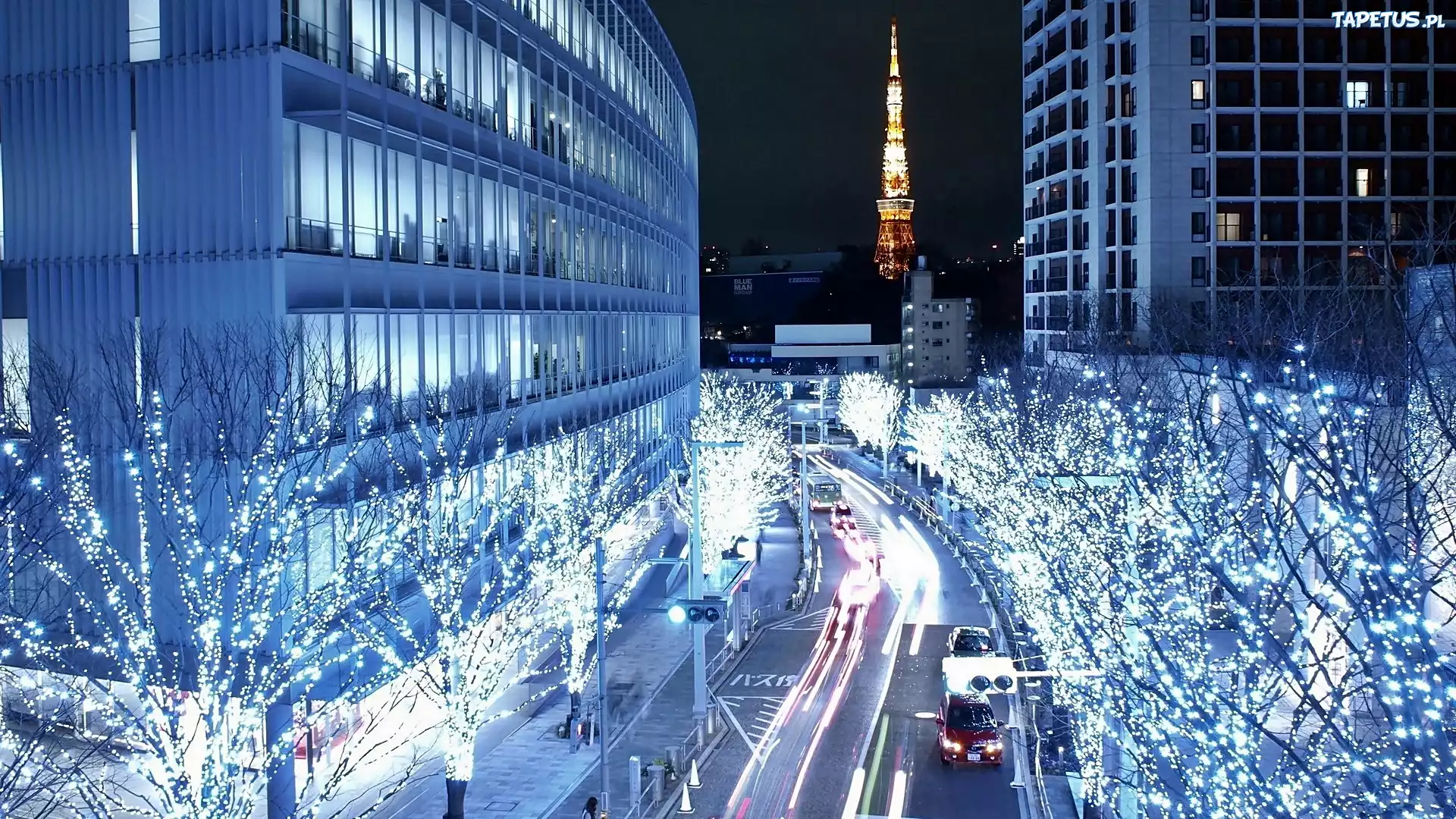 Tokio, Nocą, Drzewa, Świąteczna, Dekoracja