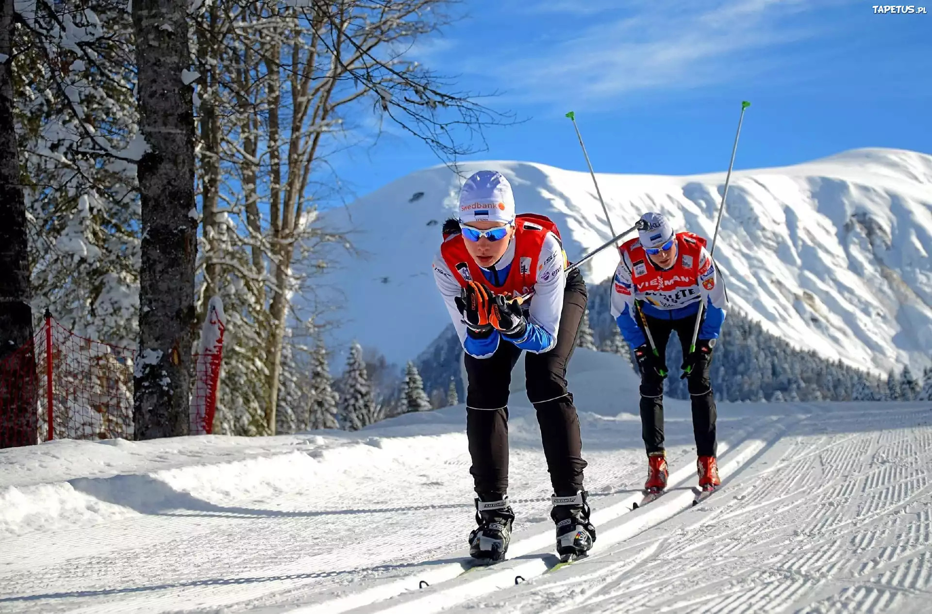 Sochi 2014, Zawodnicy, Narty