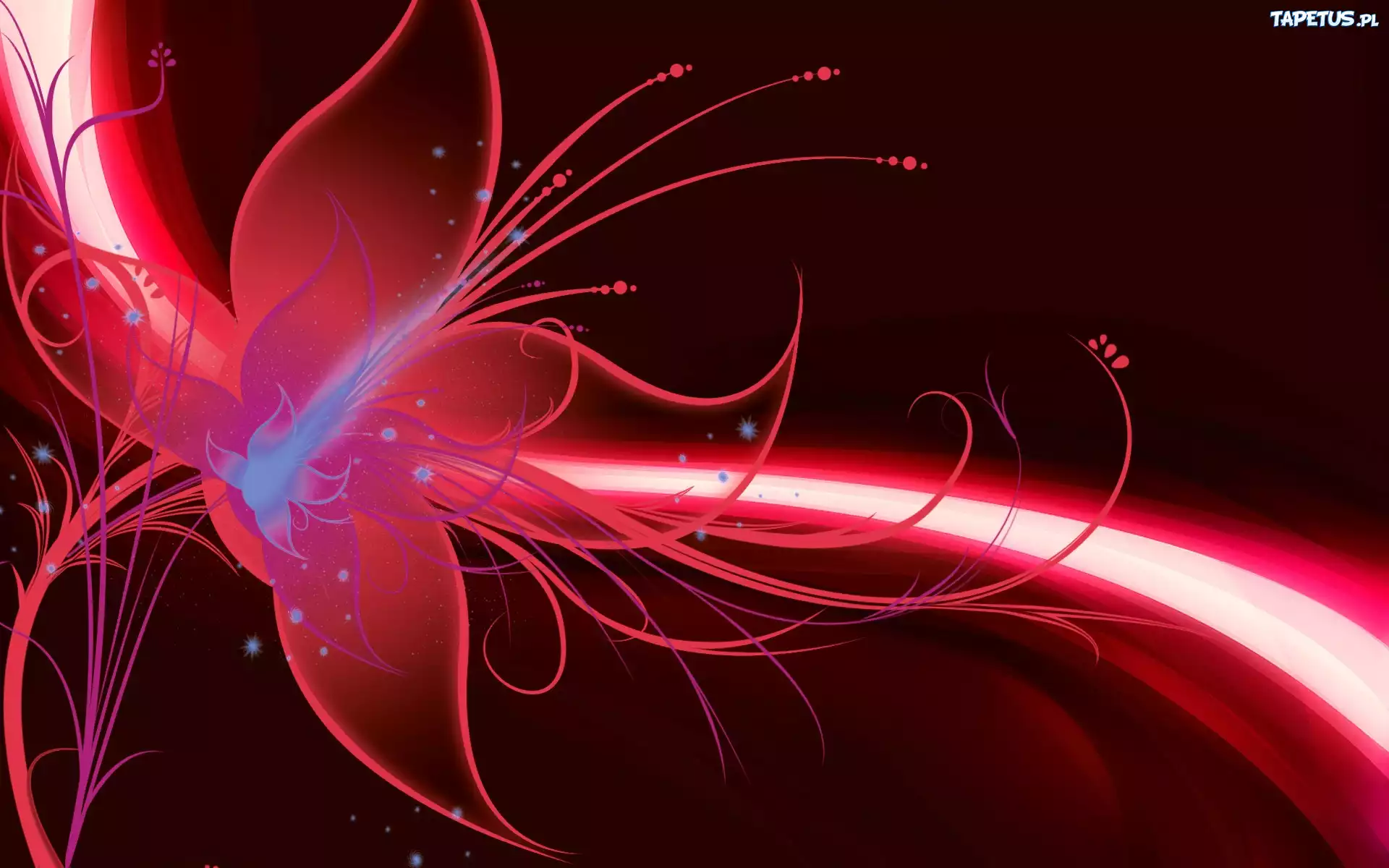Czerwony, Kwiat, Abstrakcja, 3D