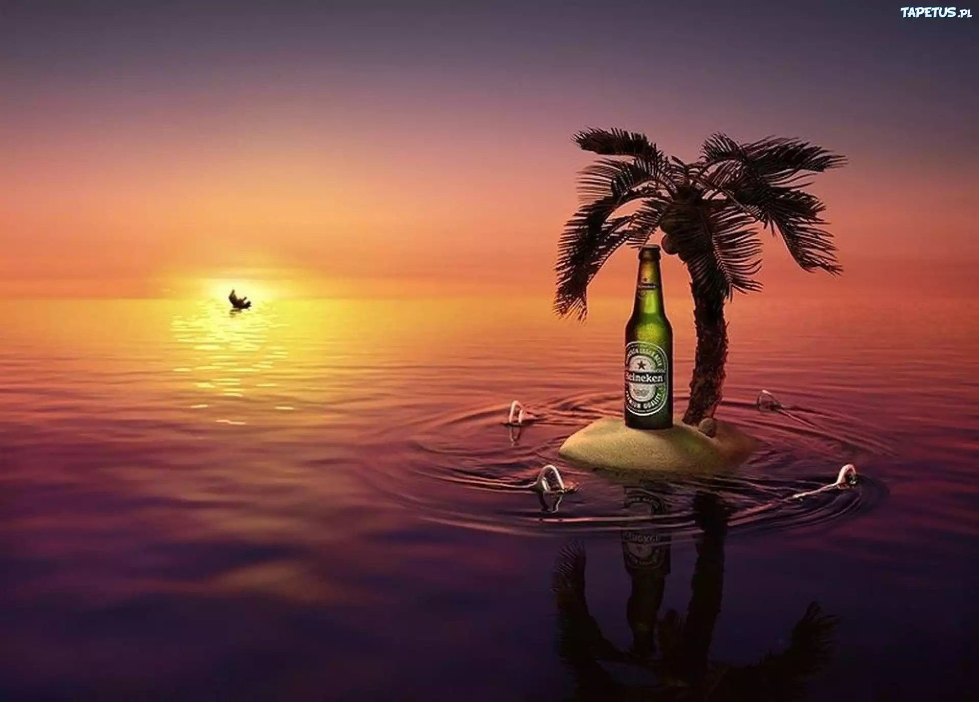 Piwo, Heineken, palma