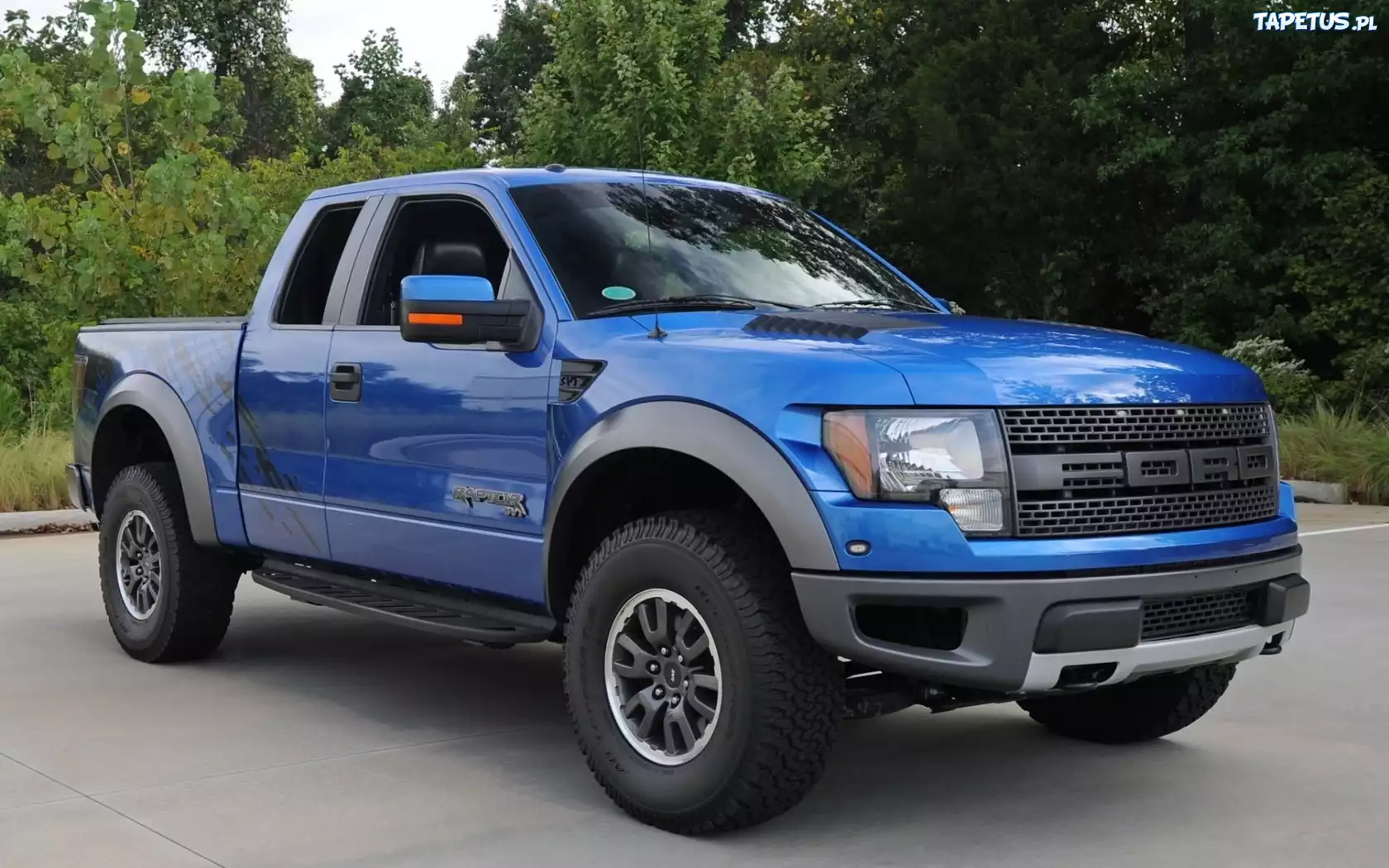 Ford, Raptor, Drzewa