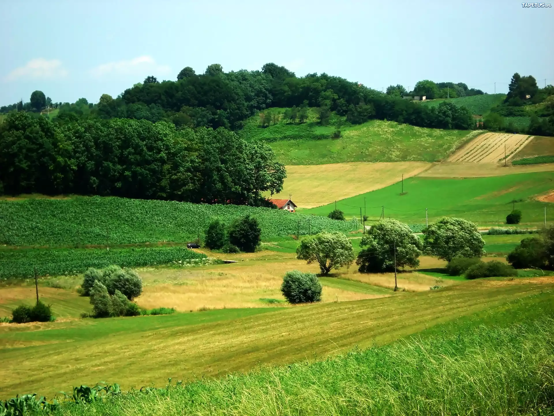 Wzgórza, Lasy, Pola