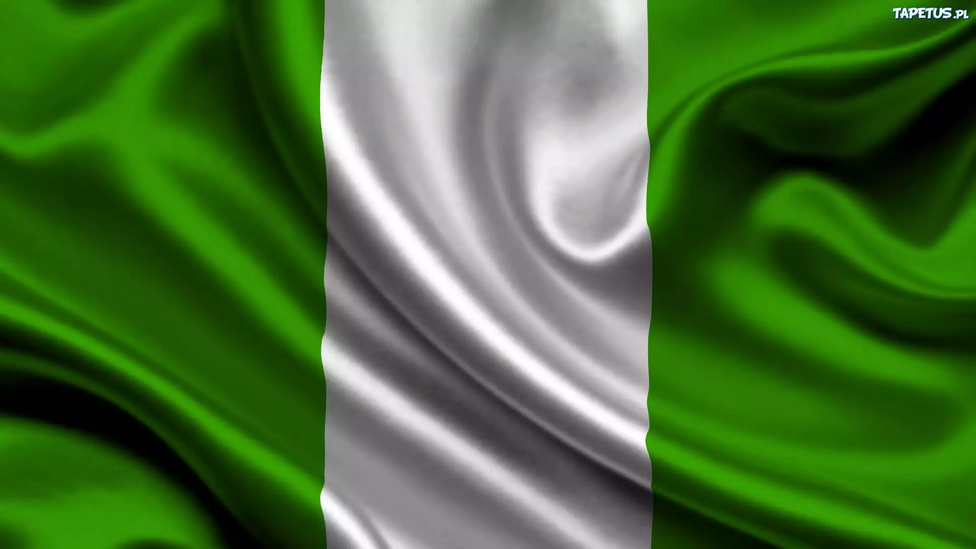 Flaga, Nigerii
