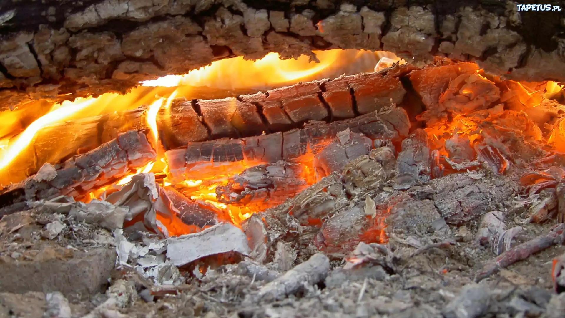 Ogień, Ognisko, Żar, Popiół