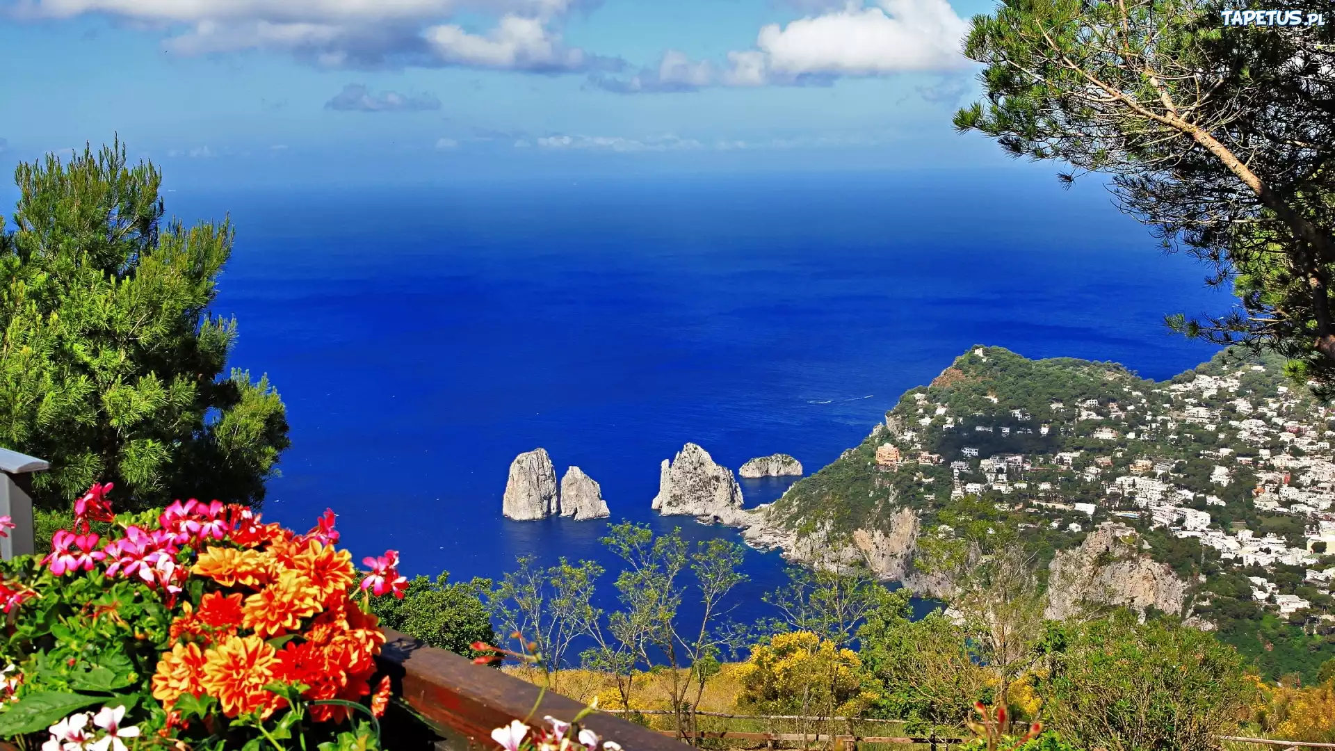 Morze, Skały, Kwiatki, Capri