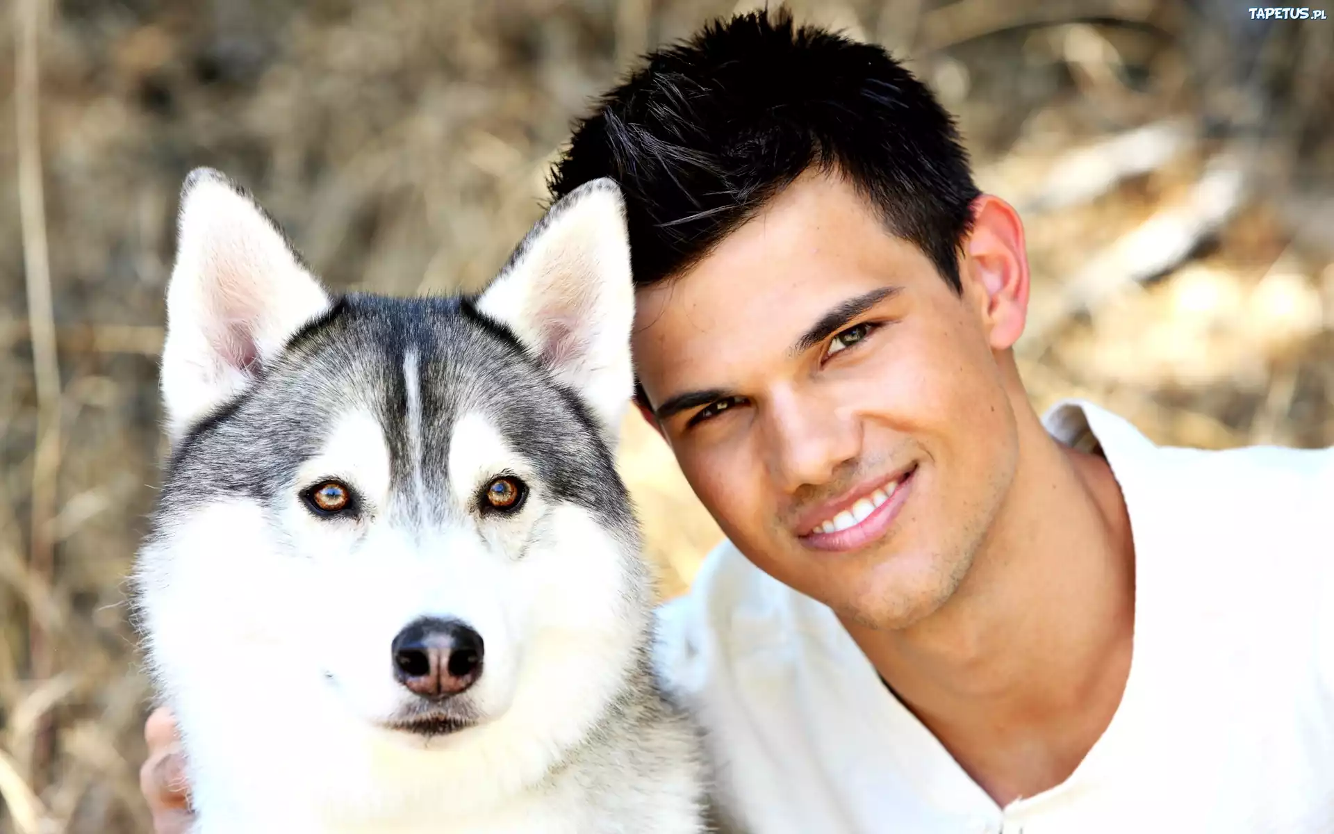Taylor Lautner, Uśmiech, Głowa, Psa