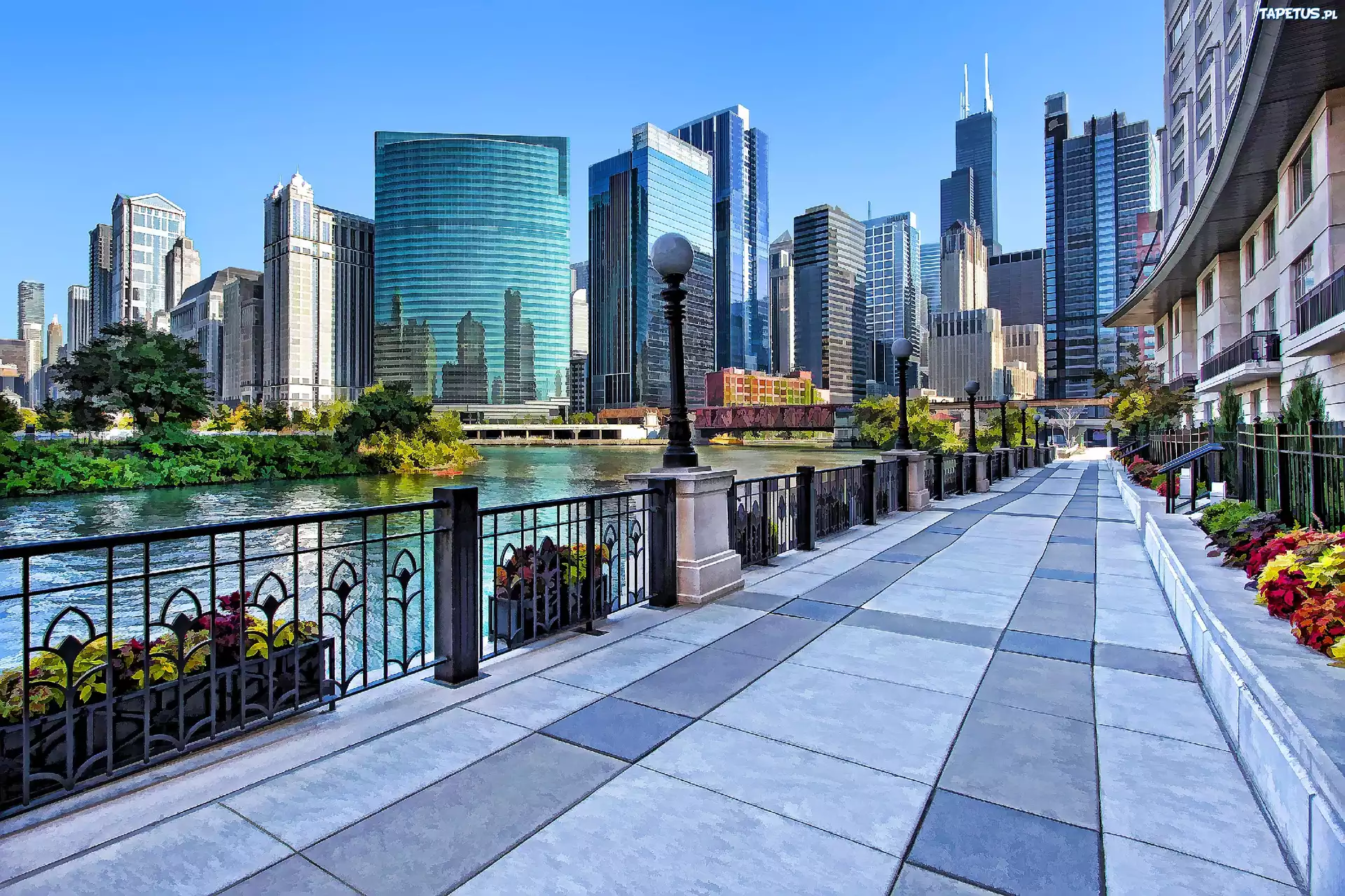 Chicago, Drapacze, Chmur